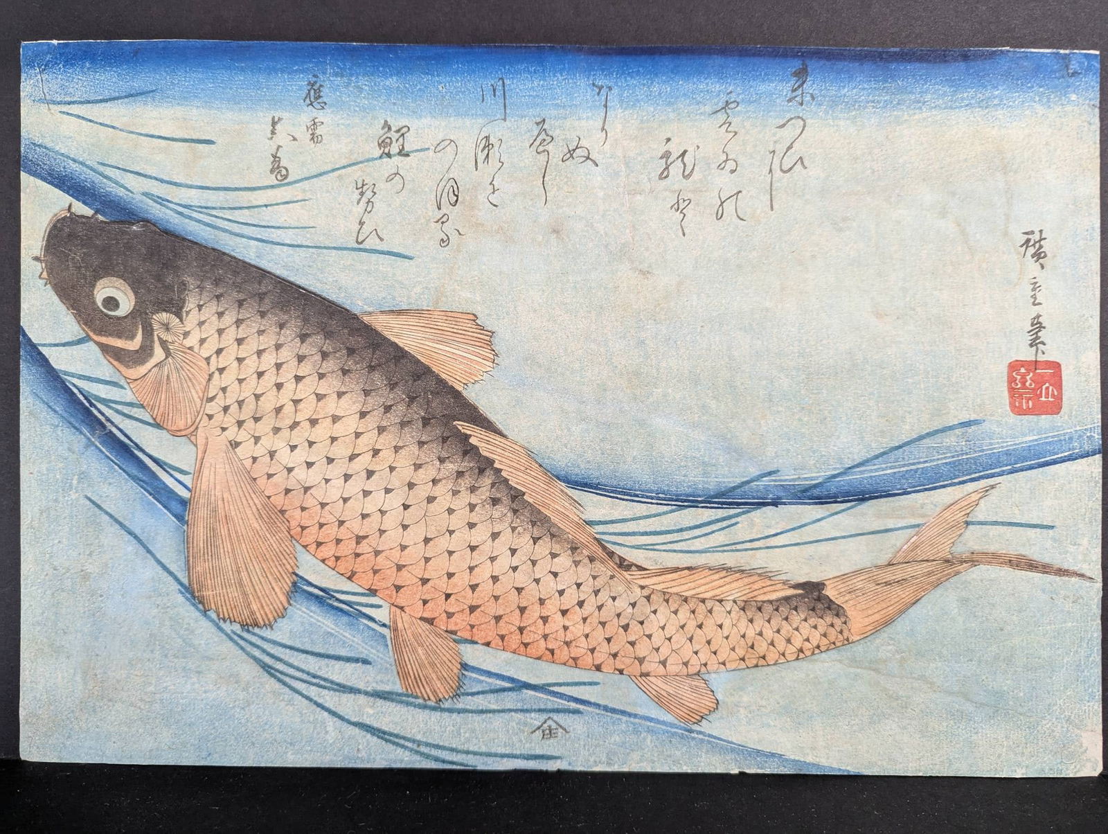 Japanese Woodblock Print Depicting Carp Swimming in Water Ando Hiroshige: A 20th century reproduction by Ando Hiroshige Japanese woodblock print showcasing a carp swimming gracefully against a backdrop of flowing water. The artwork measures 14 1/4 inches high by 9 3/4 inche
