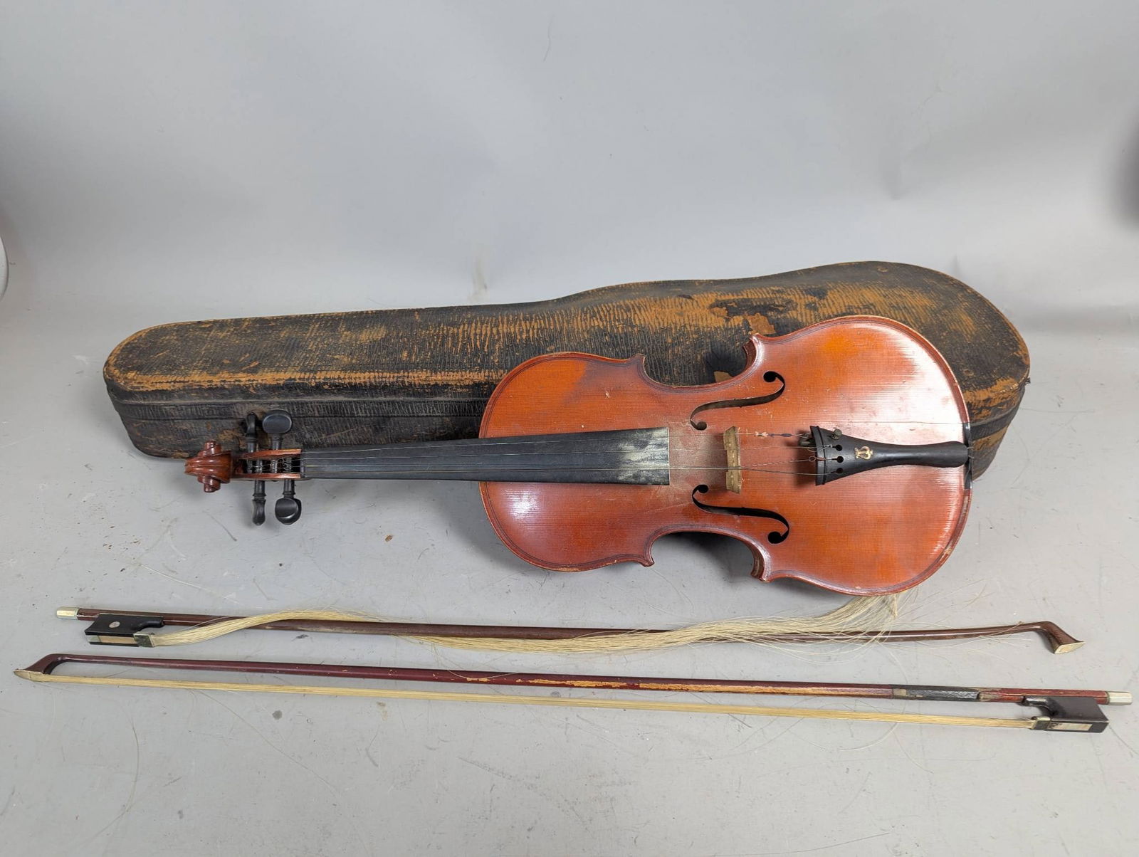 チェロ copie de Antonio Gragnani 4/4 カンタ氏演奏動画「Dominico