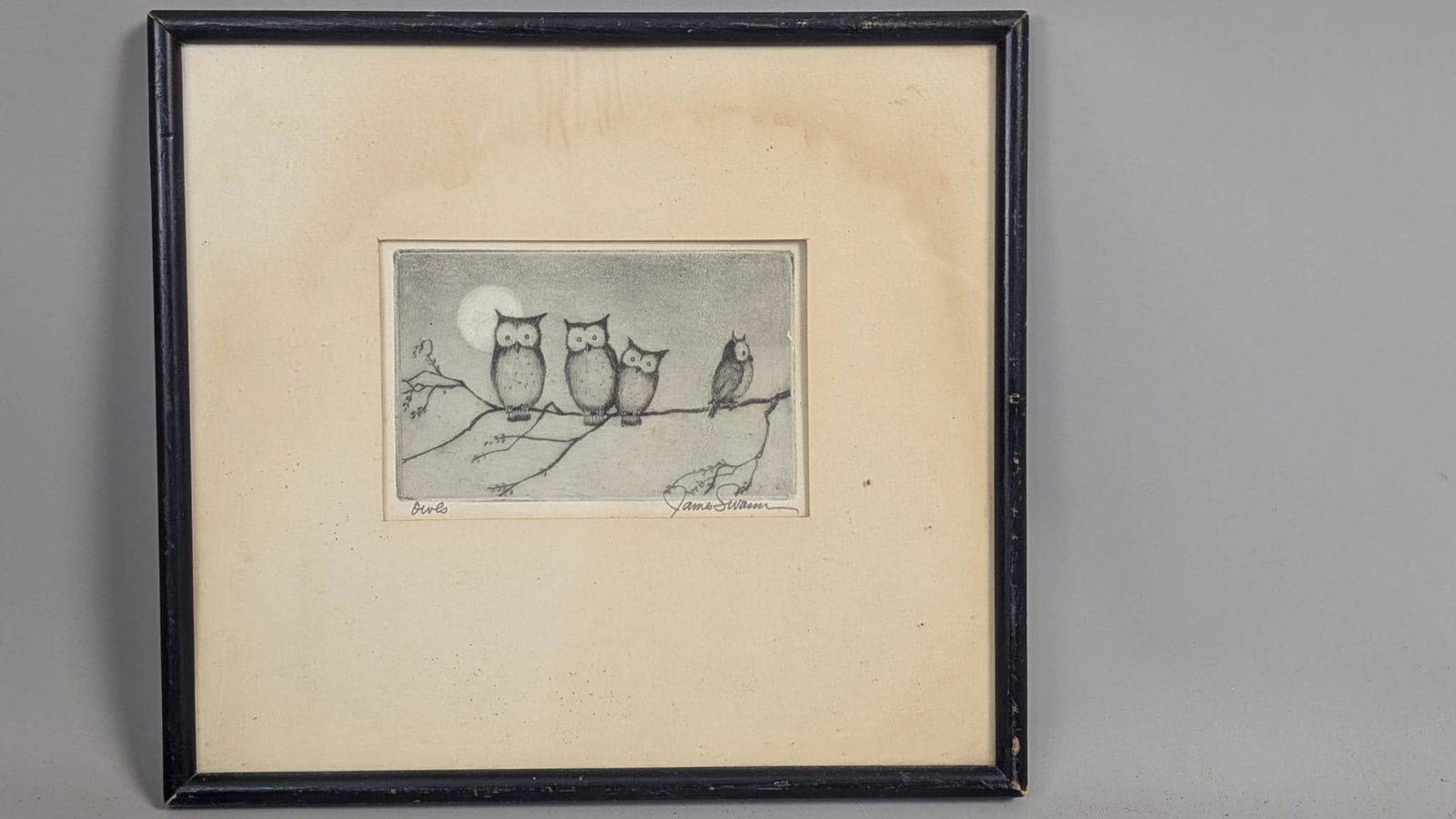 Framed Print of Owls by Artist James Swann (1 of 8)