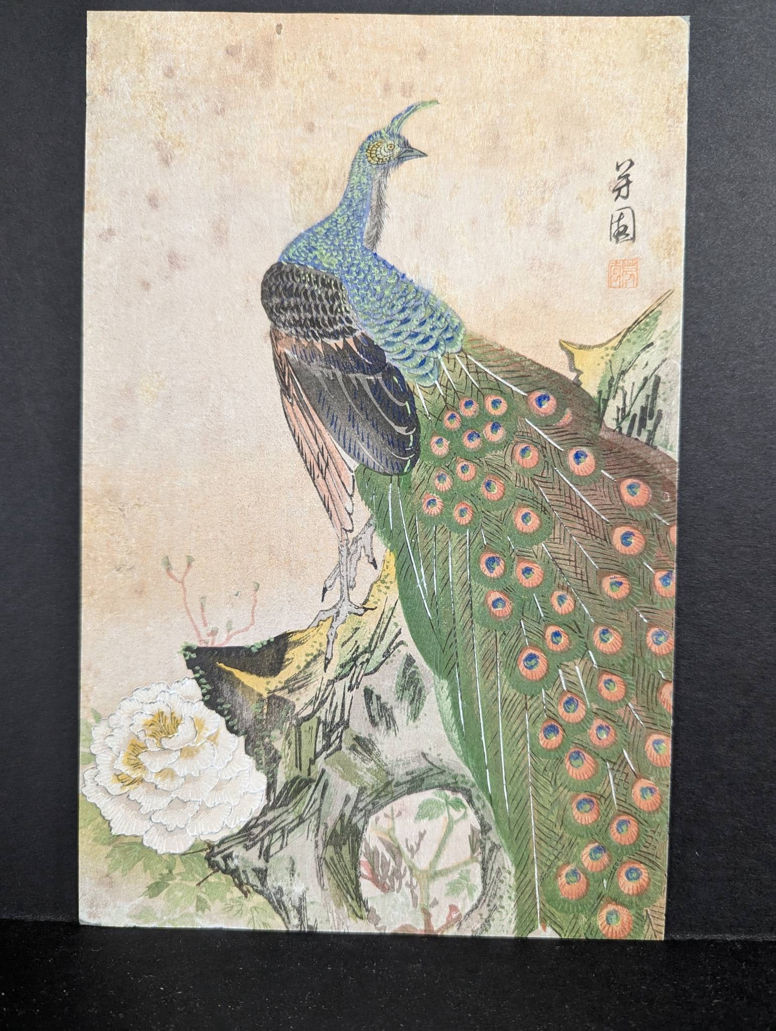 Japanese Woodblock Print Depicting a Peacock on a Floral Background: 20th-century Japanese woodblock print featuring a detailed depiction of a peacock perched on a naturalistic floral background. The print exhibits vibrant colors with an intricate rendering of the peac