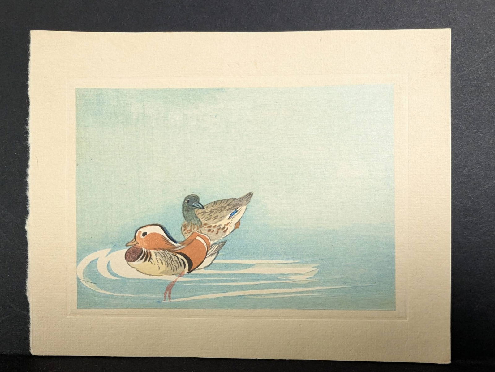 Japanese Woodblock Print Depicting Two Ducks on Calm Water: A Japanese woodblock print illustrating two ducks gliding on calm waters against a light blue backdrop. One duck displays vibrant plumage with bold contrasts of orange, white, and black, while the oth