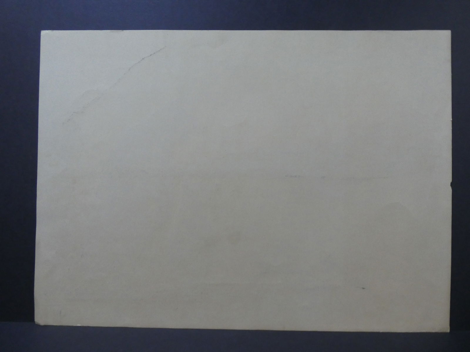 James Bunnell Black Bears Color Serigraph - 13