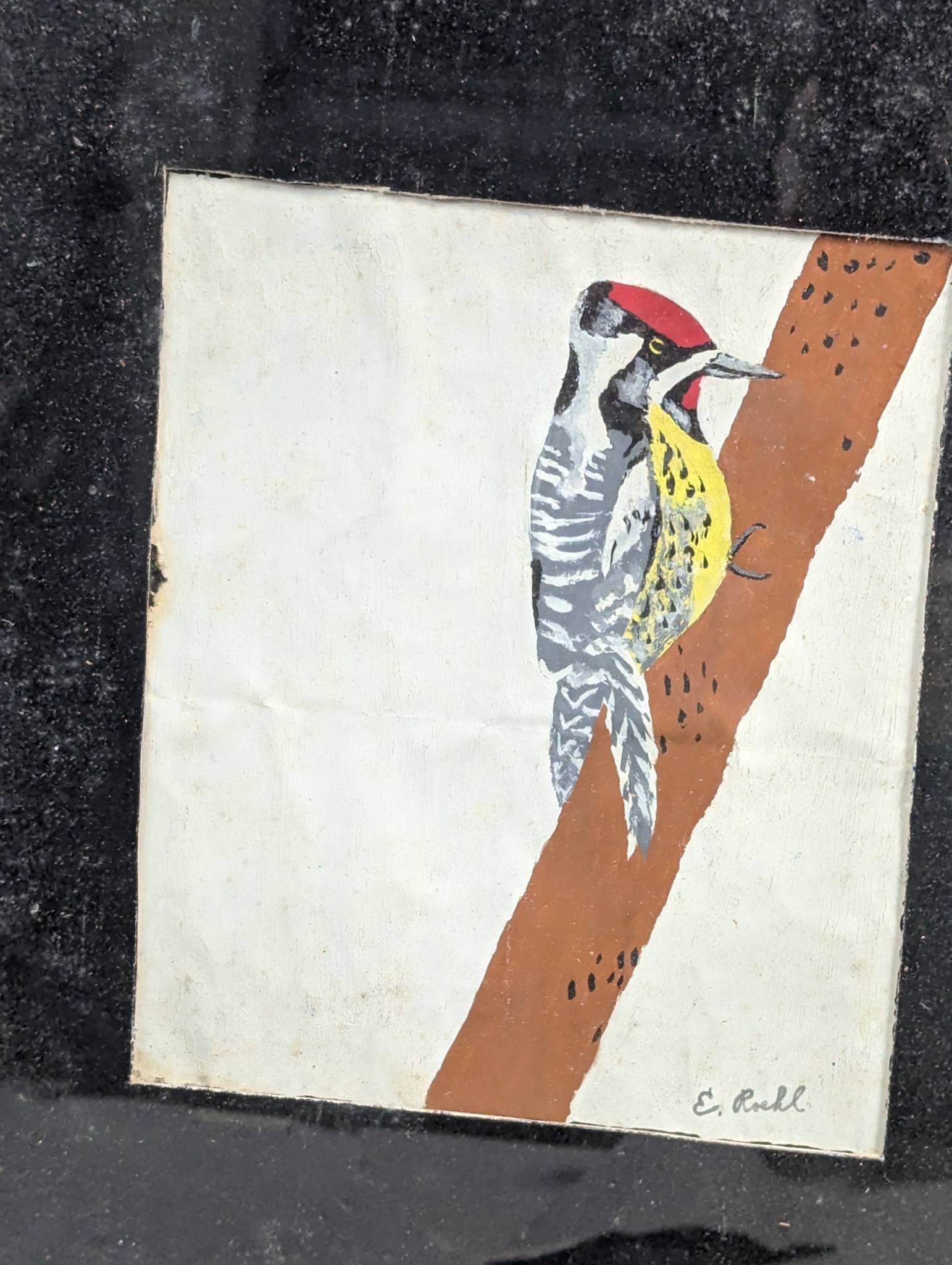 Framed Bird Illustration Signed by E Roehl - 2