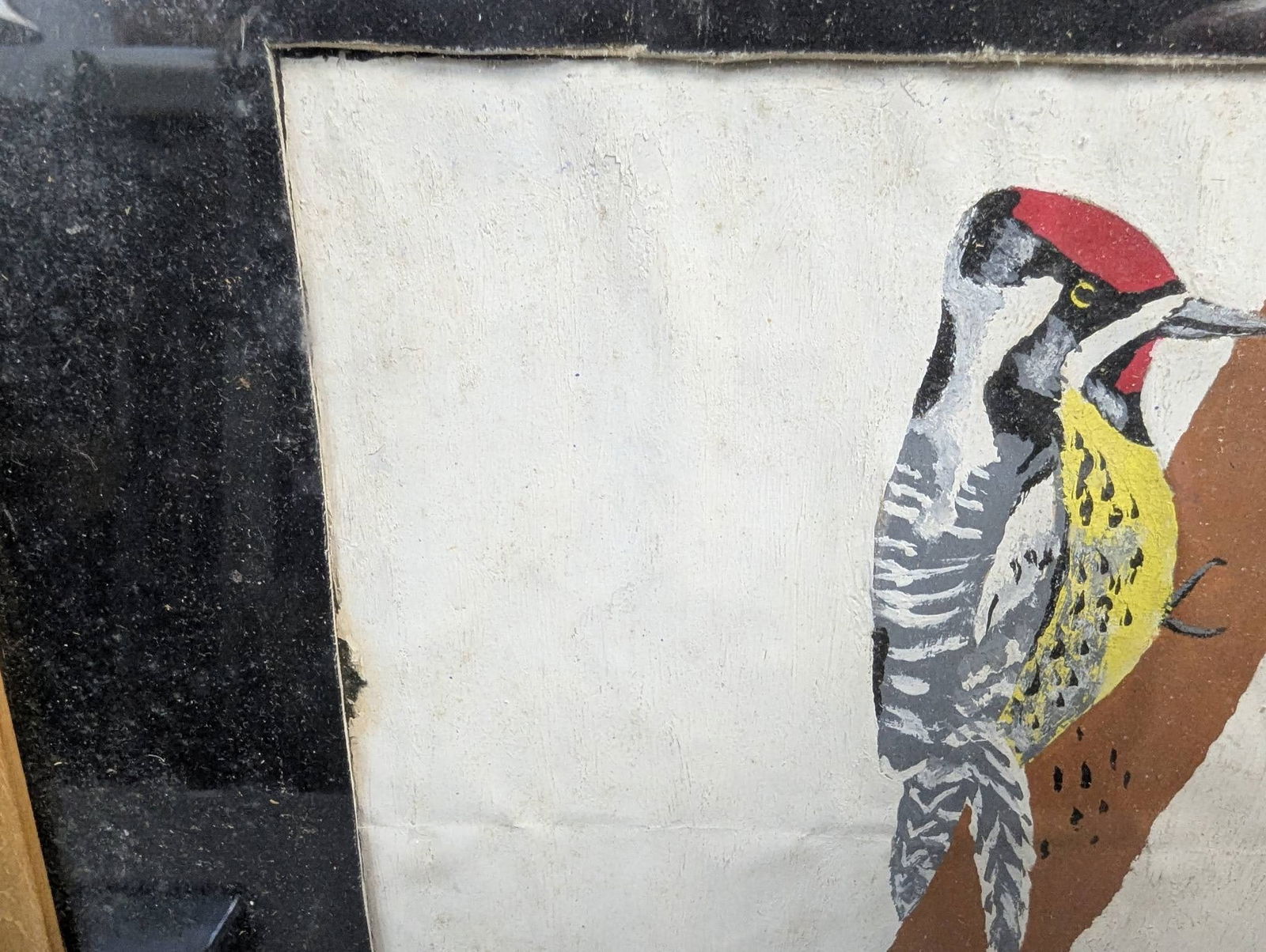 Framed Bird Illustration Signed by E Roehl - 3