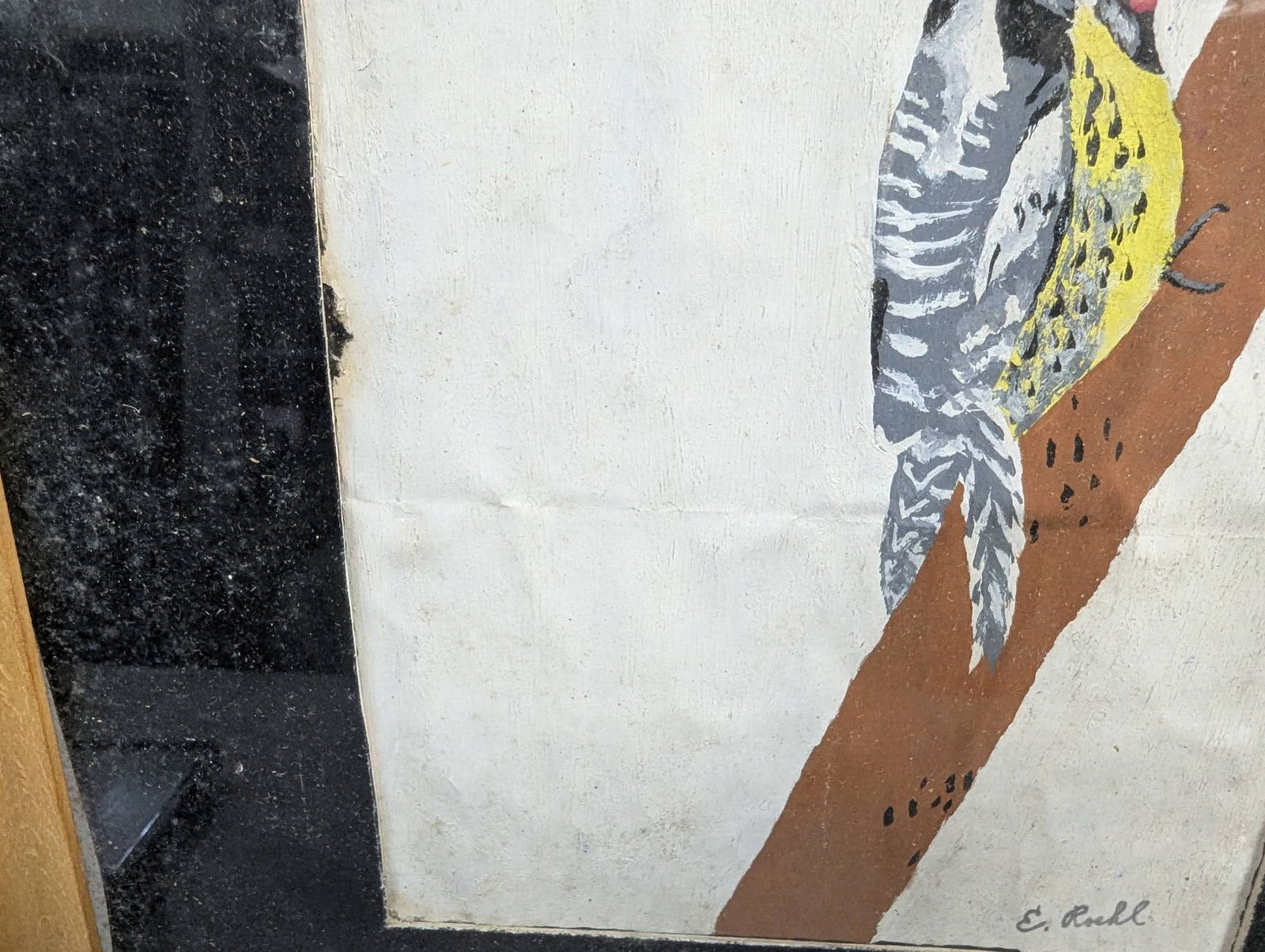 Framed Bird Illustration Signed by E Roehl - 5