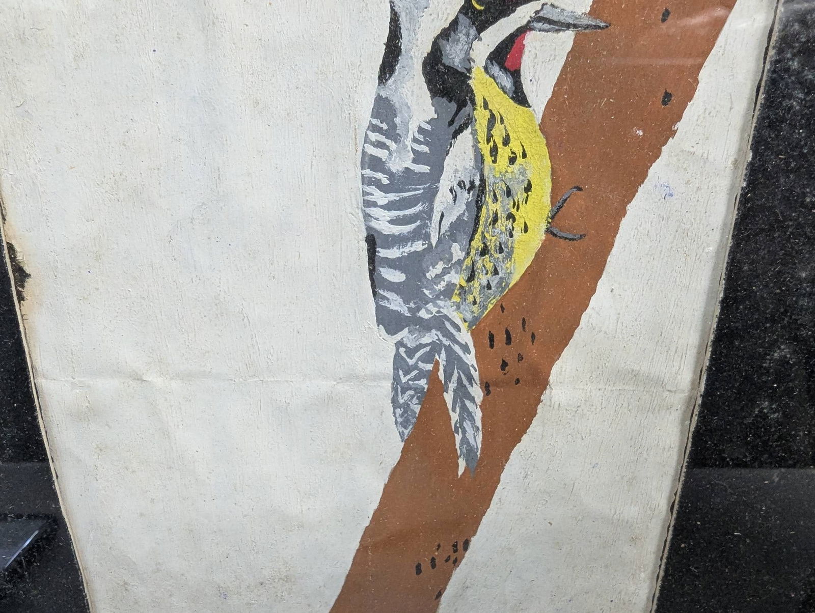 Framed Bird Illustration Signed by E Roehl - 6