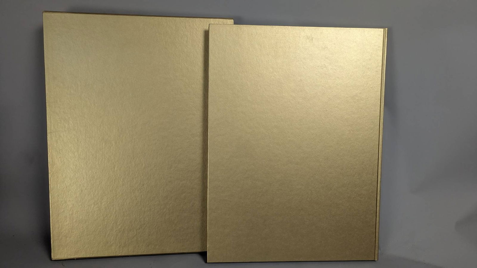 Burne Hogarth Signed and Numbered Facsimile The Golden Age of Tarzan - 7