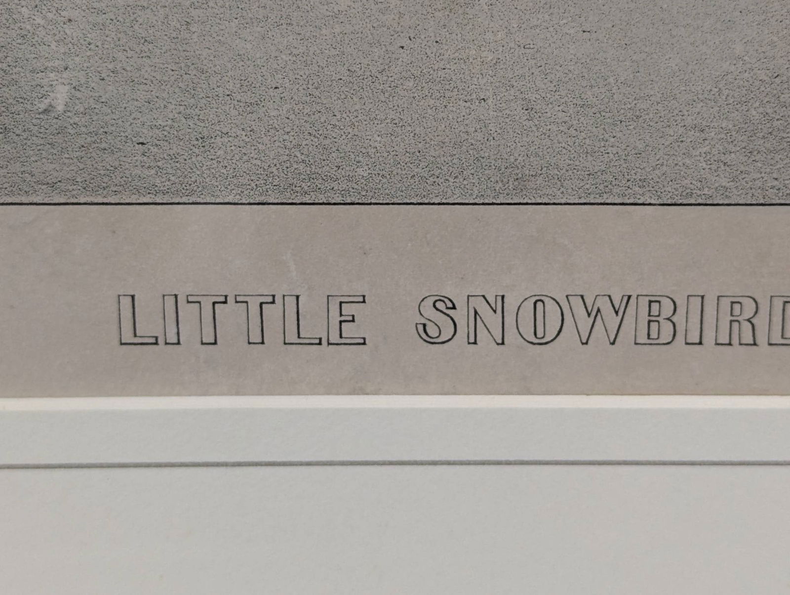 Currier and Ives Chromolithograph Titled Little Snowbird - 10