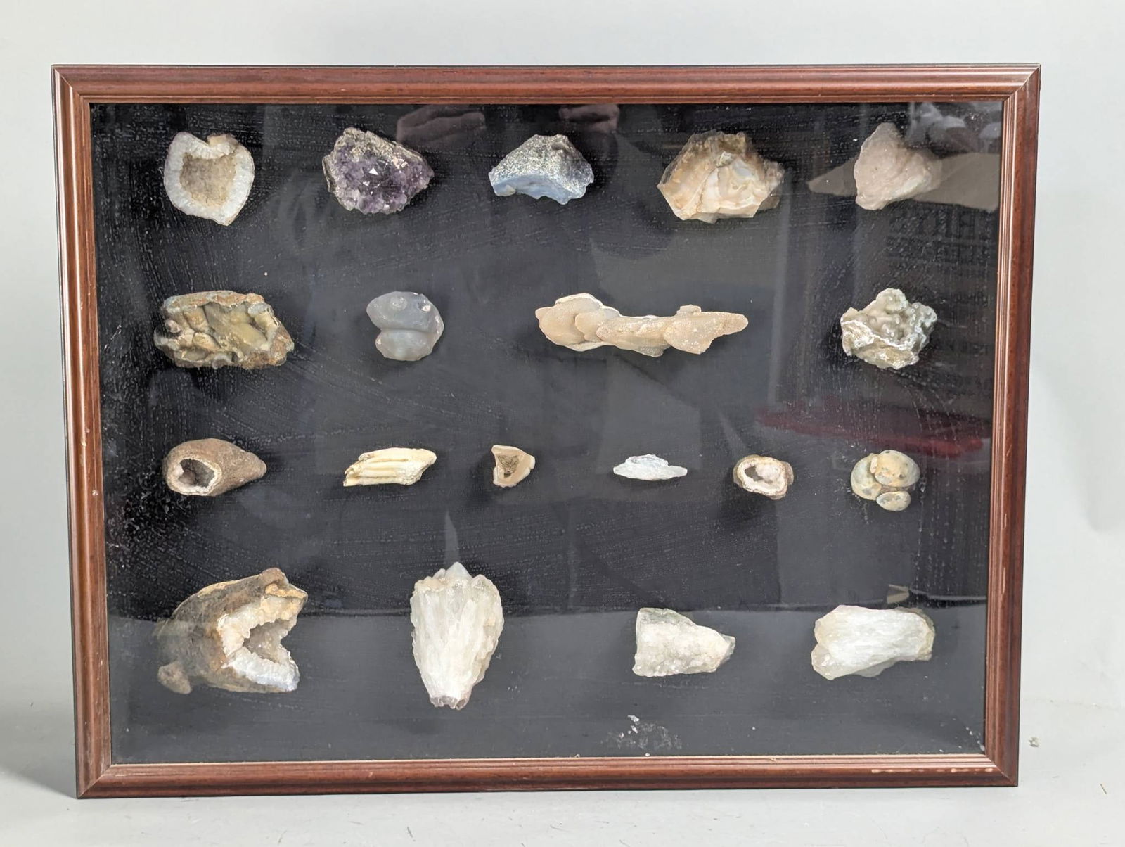 Shadow Box Display of Rocks, Minerals, and Possible Fossils in Wooden Frame (1 of 8)