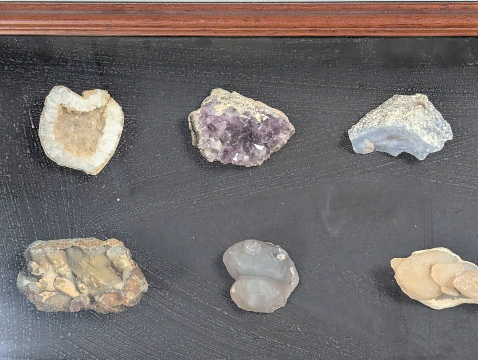 Shadow Box Display of Rocks, Minerals, and Possible Fossils in Wooden Frame - 2
