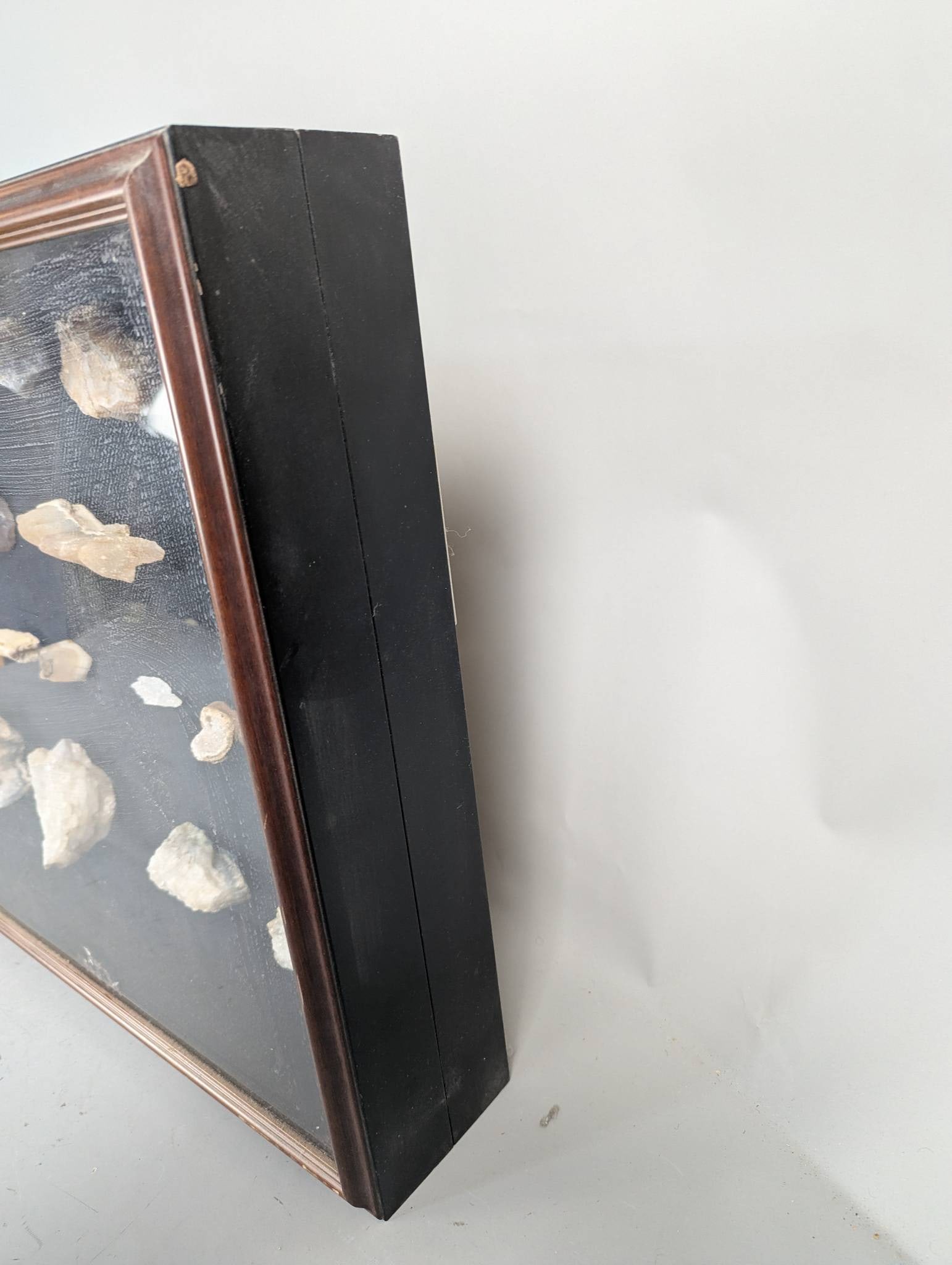 Shadow Box Display of Rocks, Minerals, and Possible Fossils in Wooden Frame - 6