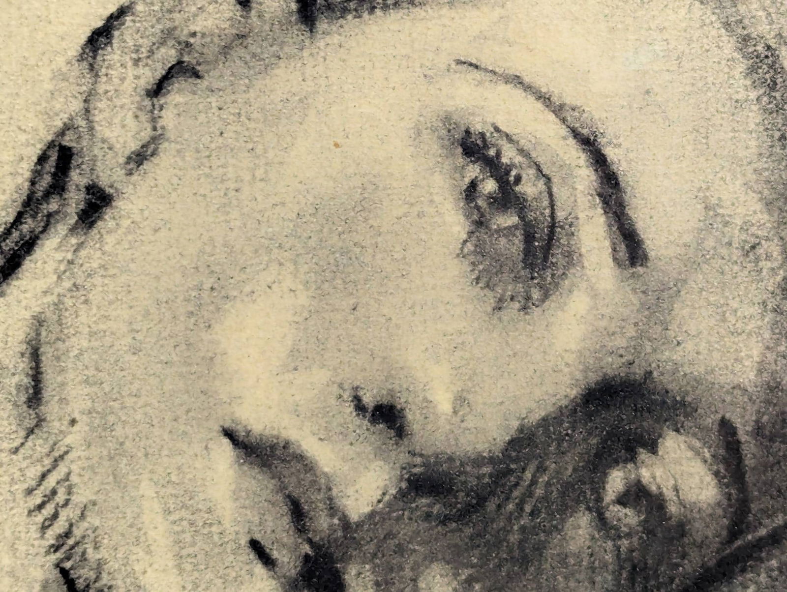 Charcoal on Paper Artwork Depicting Wilma Seated Attributed to Augustus Dunbier - 9