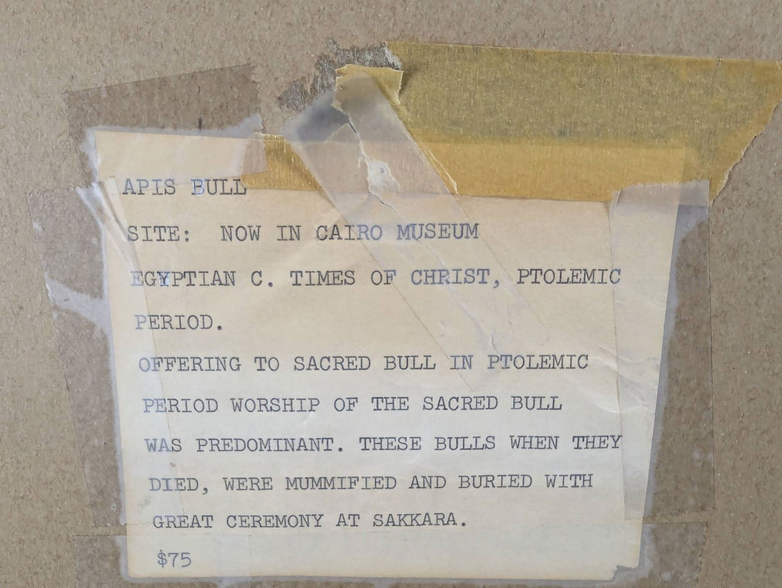 Depiction of Apis Bull in Ancient Egyptian Style by Ward Patterson - 12