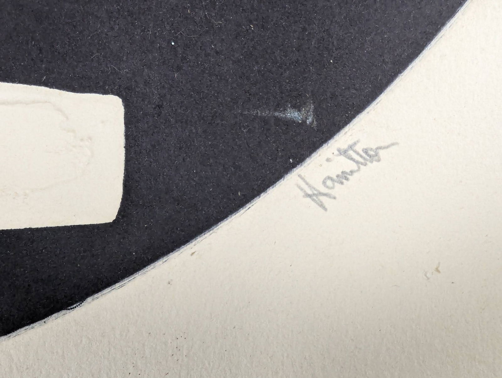 Limited Edition Lithograph Ritual by Hamilton - 8