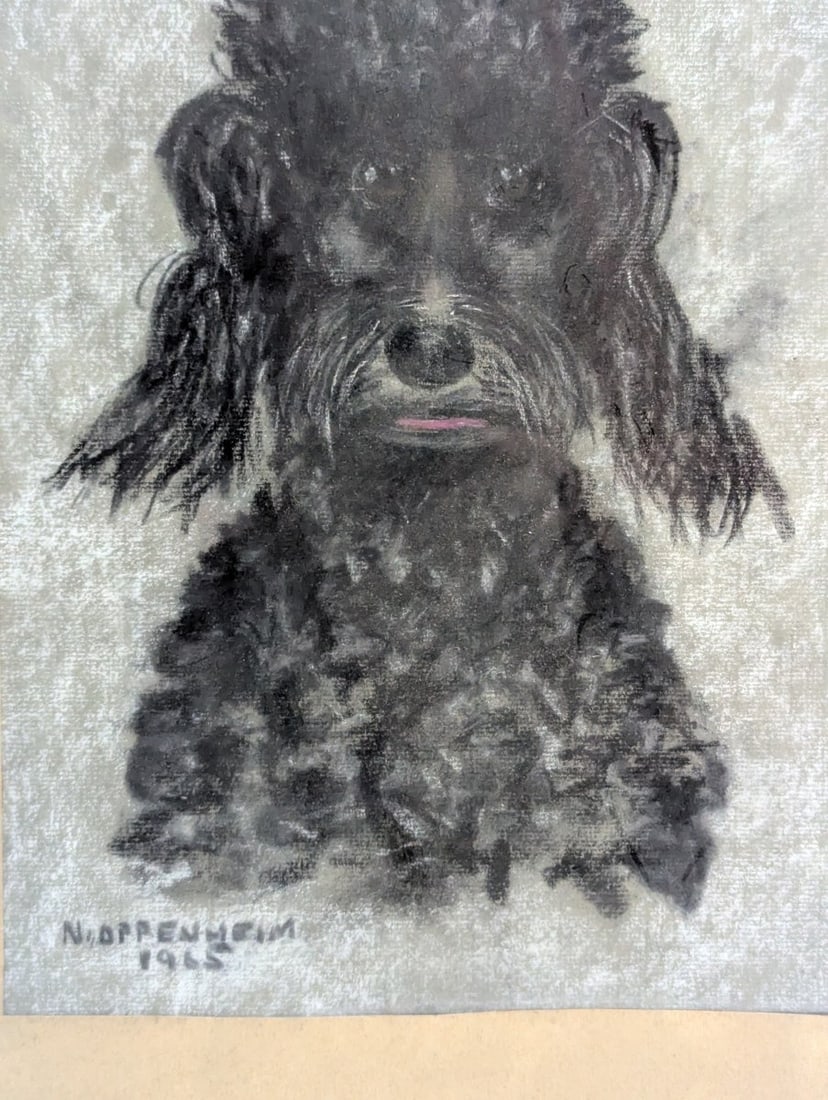 Charming Pastel Portrait of a Poodle Signed by N. Oppenheim 1965 - 2