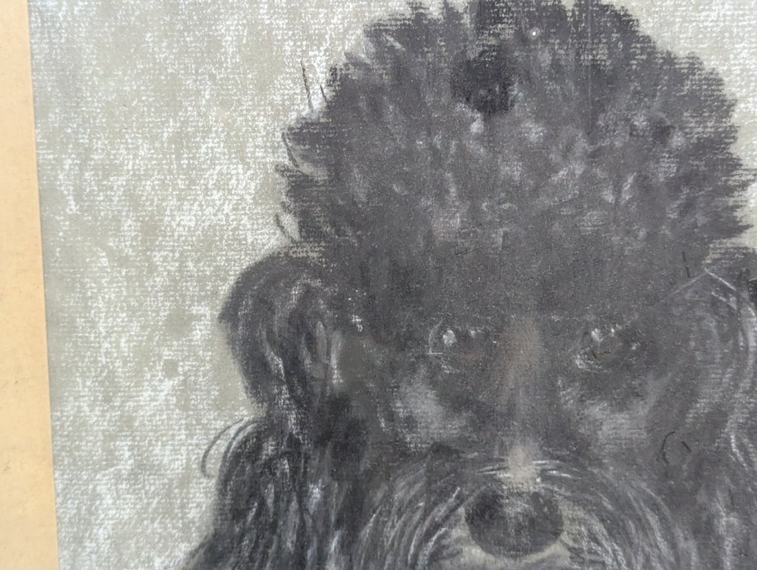 Charming Pastel Portrait of a Poodle Signed by N. Oppenheim 1965 - 3