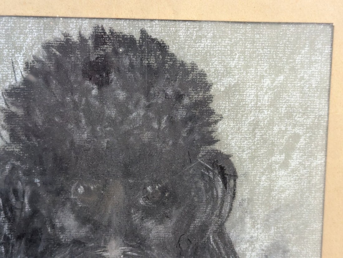 Charming Pastel Portrait of a Poodle Signed by N. Oppenheim 1965 - 4