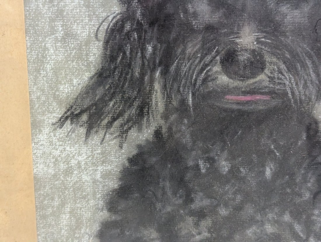 Charming Pastel Portrait of a Poodle Signed by N. Oppenheim 1965 - 5