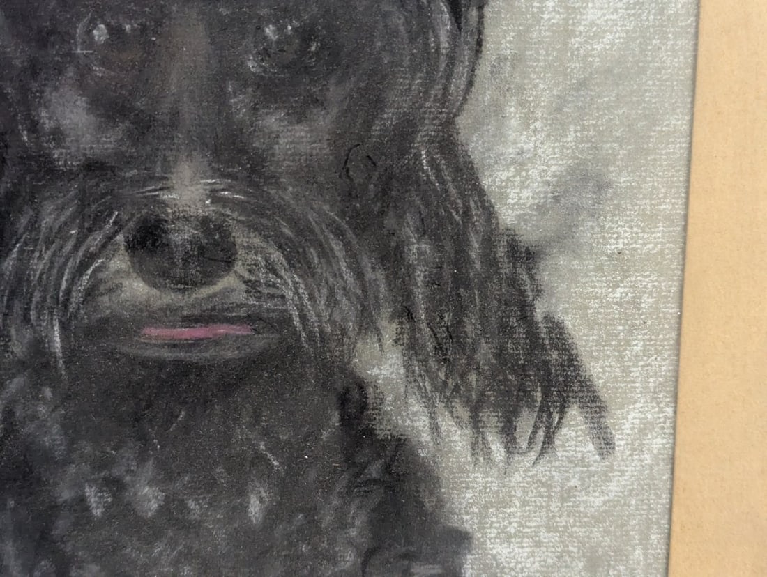 Charming Pastel Portrait of a Poodle Signed by N. Oppenheim 1965 - 6
