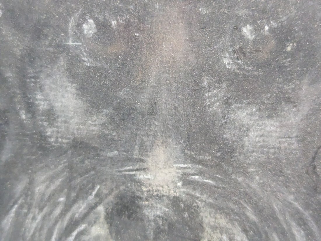 Charming Pastel Portrait of a Poodle Signed by N. Oppenheim 1965 - 9