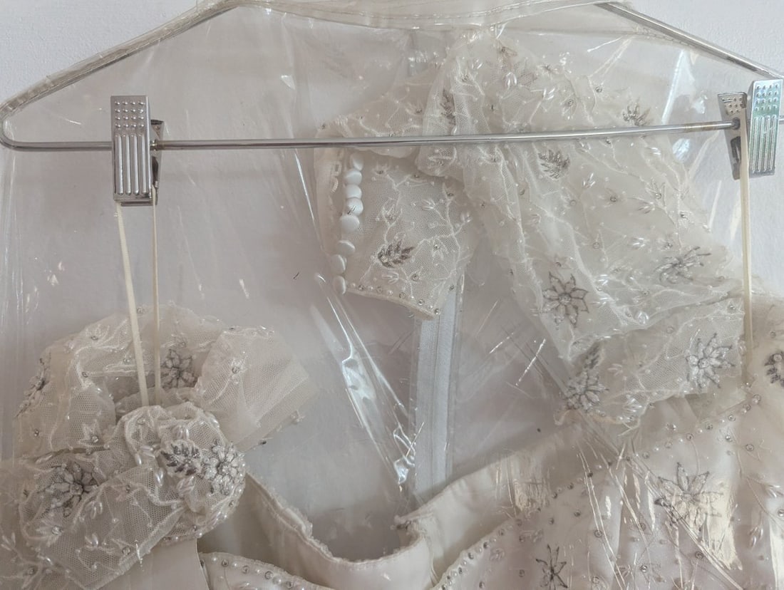 Elegant Demetrios Silk White Beaded Wedding Gown - 2