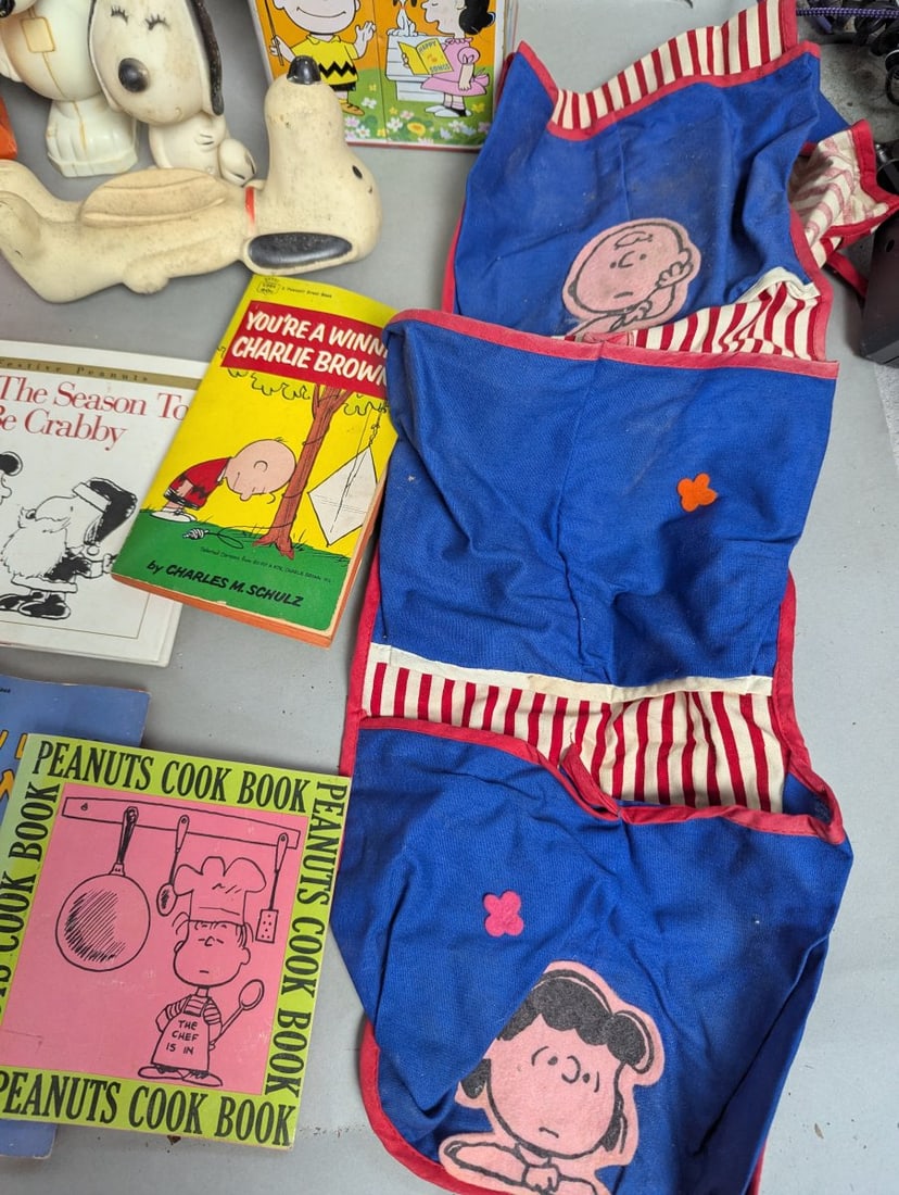 Huge Peanuts Memorabilia Collection Vintage Toys Figurines Books - 6