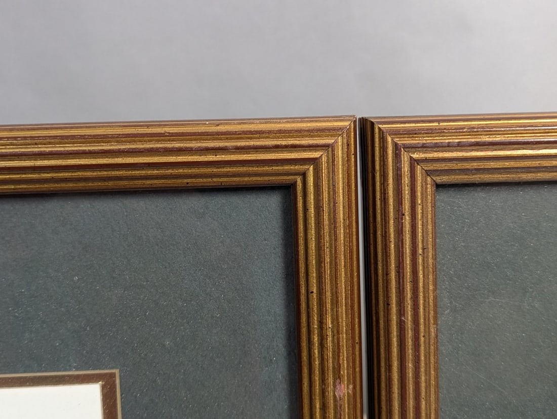 Stunning Set of P.J. Redoute Botanical Prints for Home Decor - 10