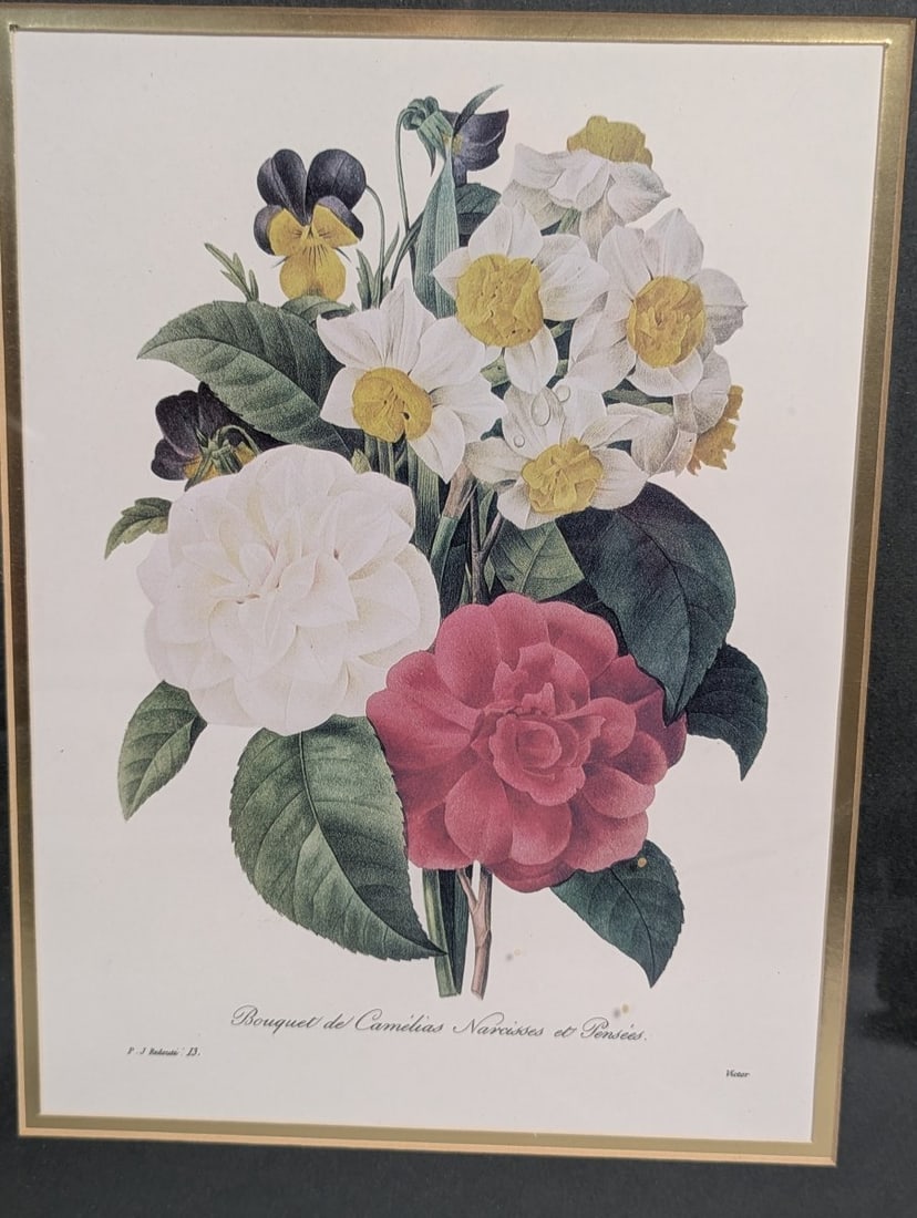Stunning Set of P.J. Redoute Botanical Prints for Home Decor - 2