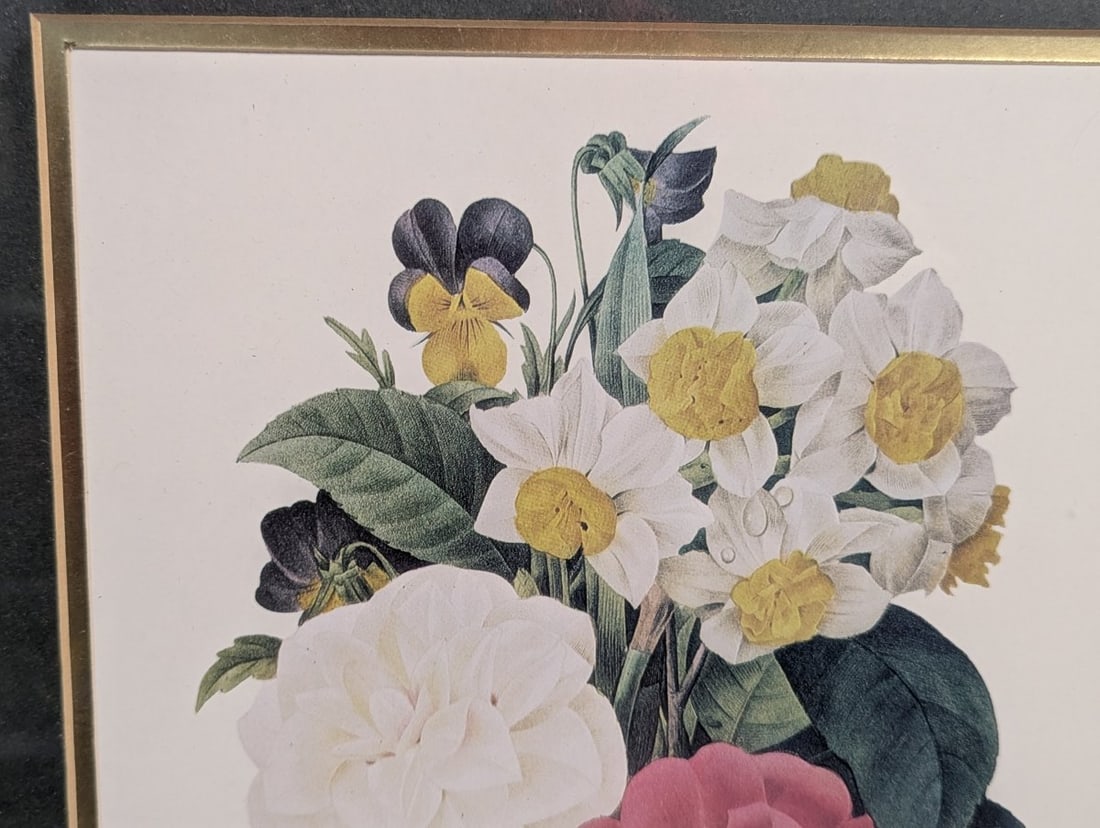 Stunning Set of P.J. Redoute Botanical Prints for Home Decor - 3
