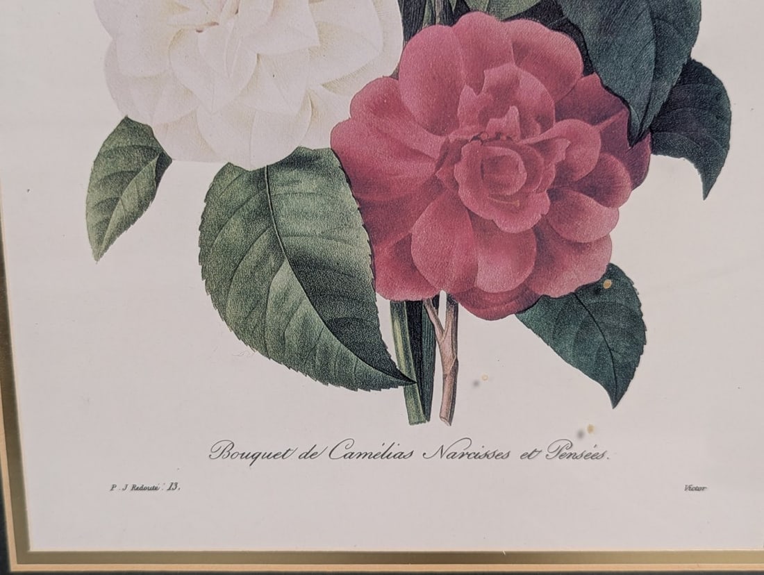 Stunning Set of P.J. Redoute Botanical Prints for Home Decor - 5