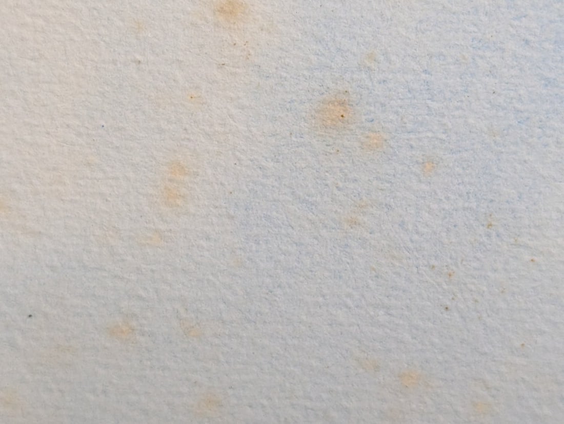 Large Framed Watercolor of Venice Piazza San Marco by Umberto Organia - 9