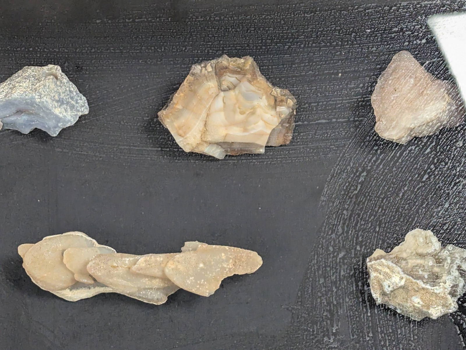 Shadow Box Display of Rocks, Minerals, and Possible Fossils in Wooden Frame - 3