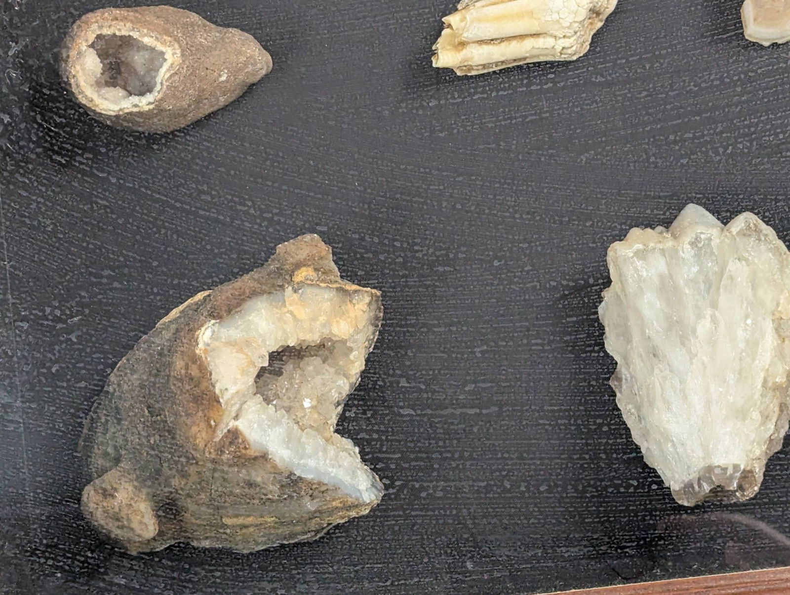 Shadow Box Display of Rocks, Minerals, and Possible Fossils in Wooden Frame - 4