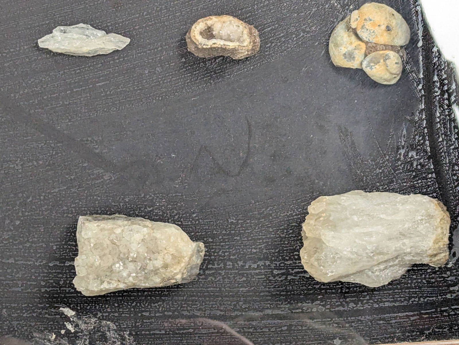 Shadow Box Display of Rocks, Minerals, and Possible Fossils in Wooden Frame - 5
