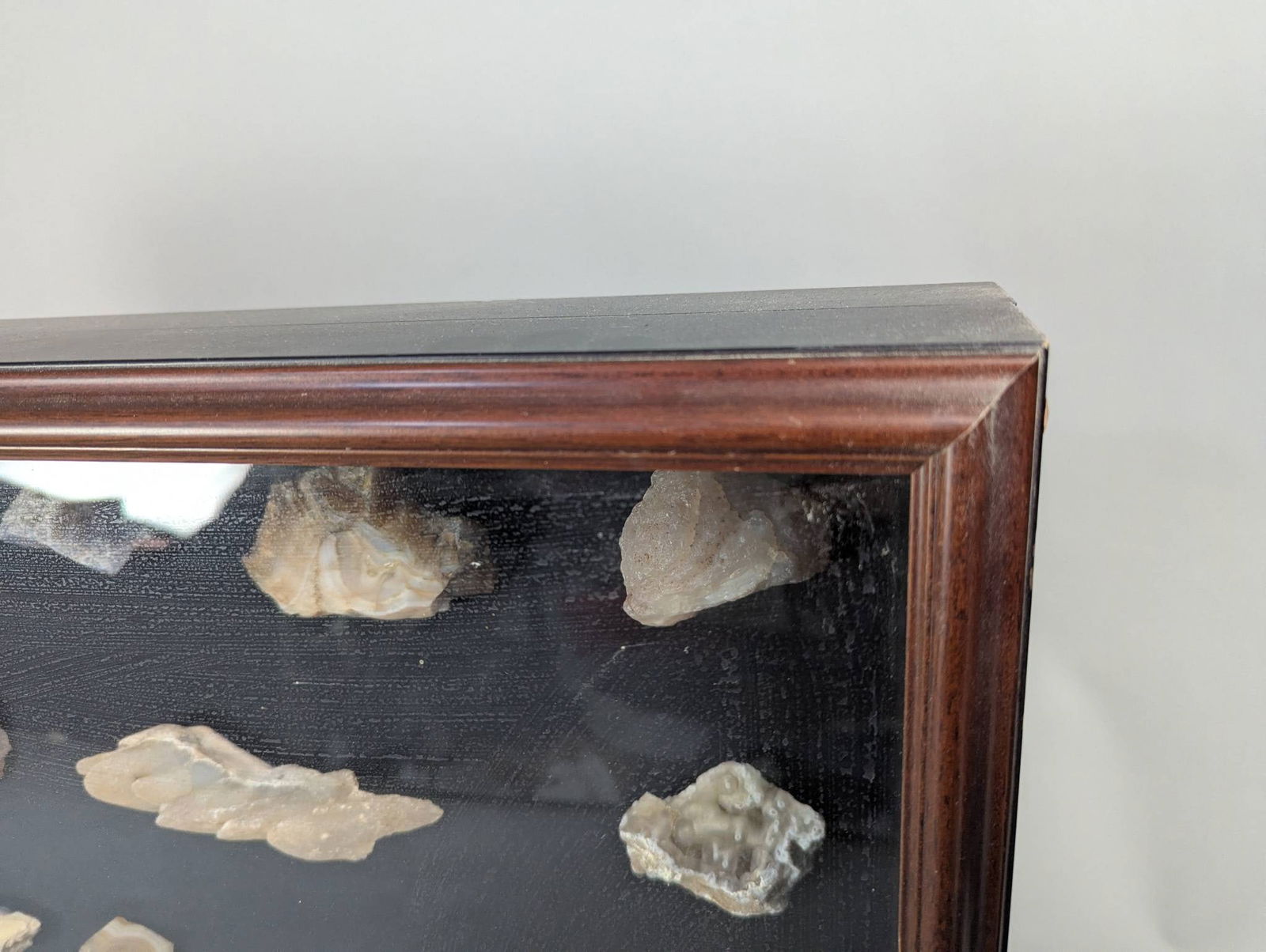 Shadow Box Display of Rocks, Minerals, and Possible Fossils in Wooden Frame - 7