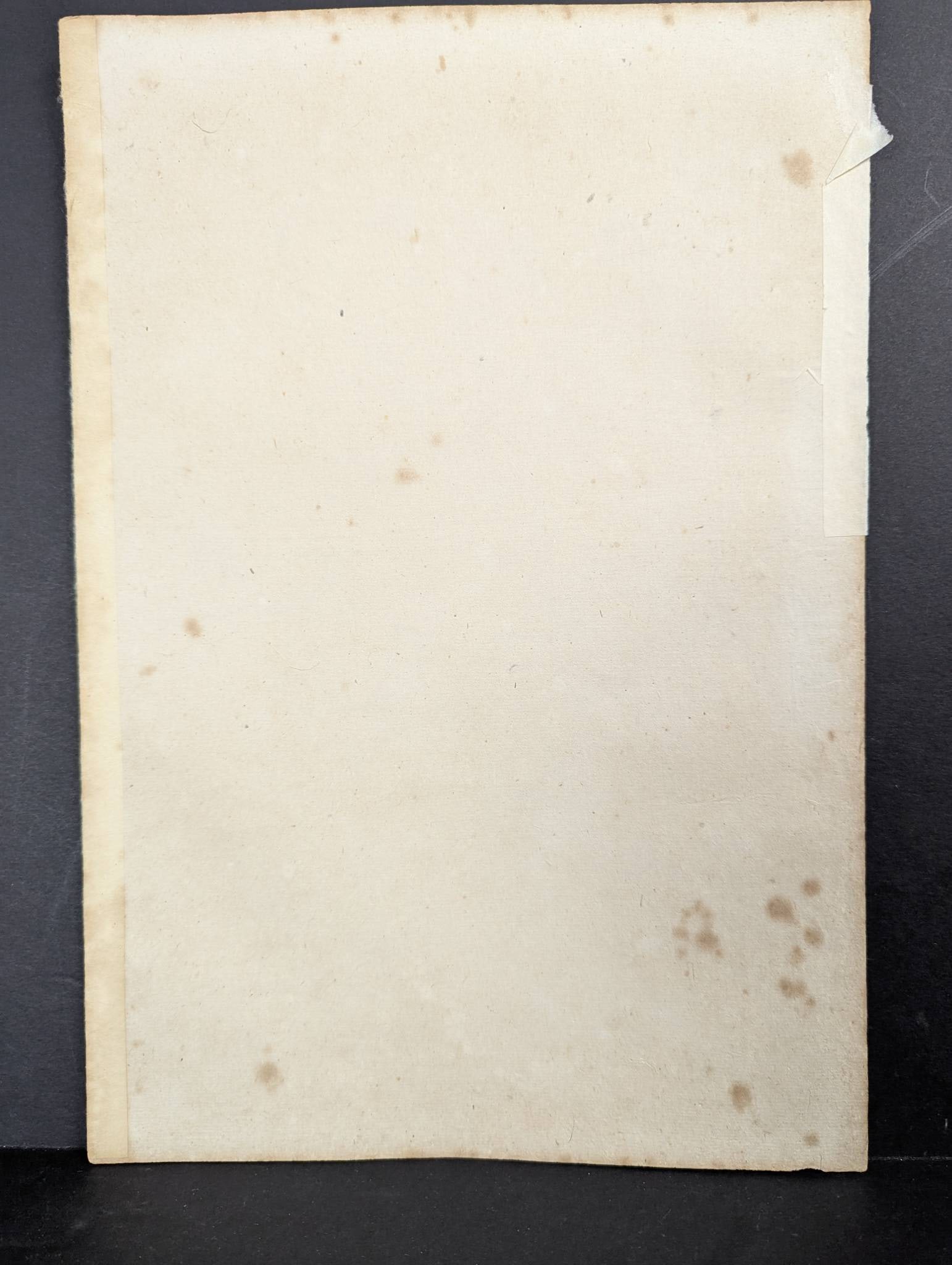 Japanese Woodblock Print by Mizuno Toshikata Chasing Fireflies - 8