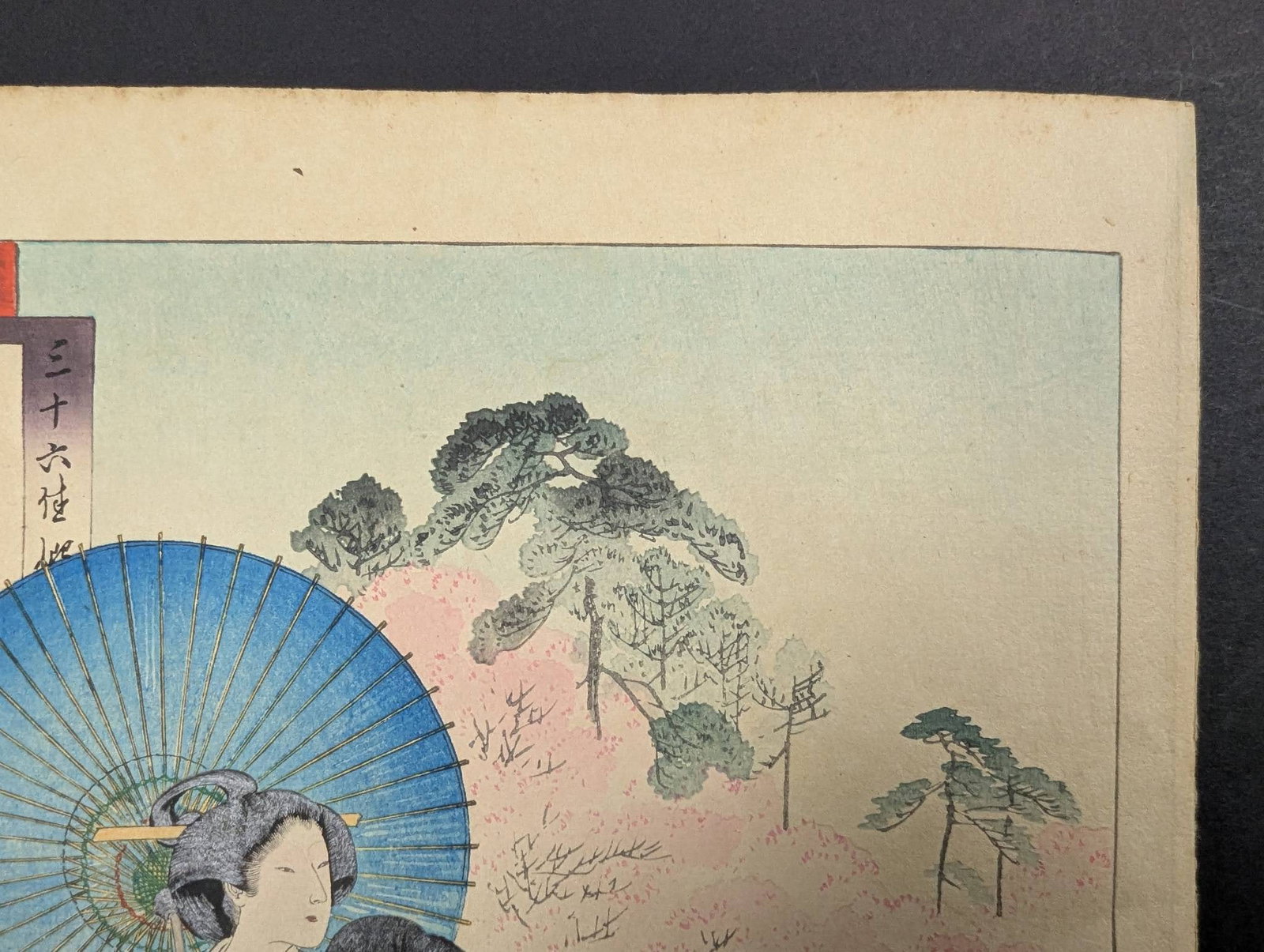 Flower-viewing Ladies of the Bunsei Era by Mizuno Toshikata Japanese Woodblock Print - 3