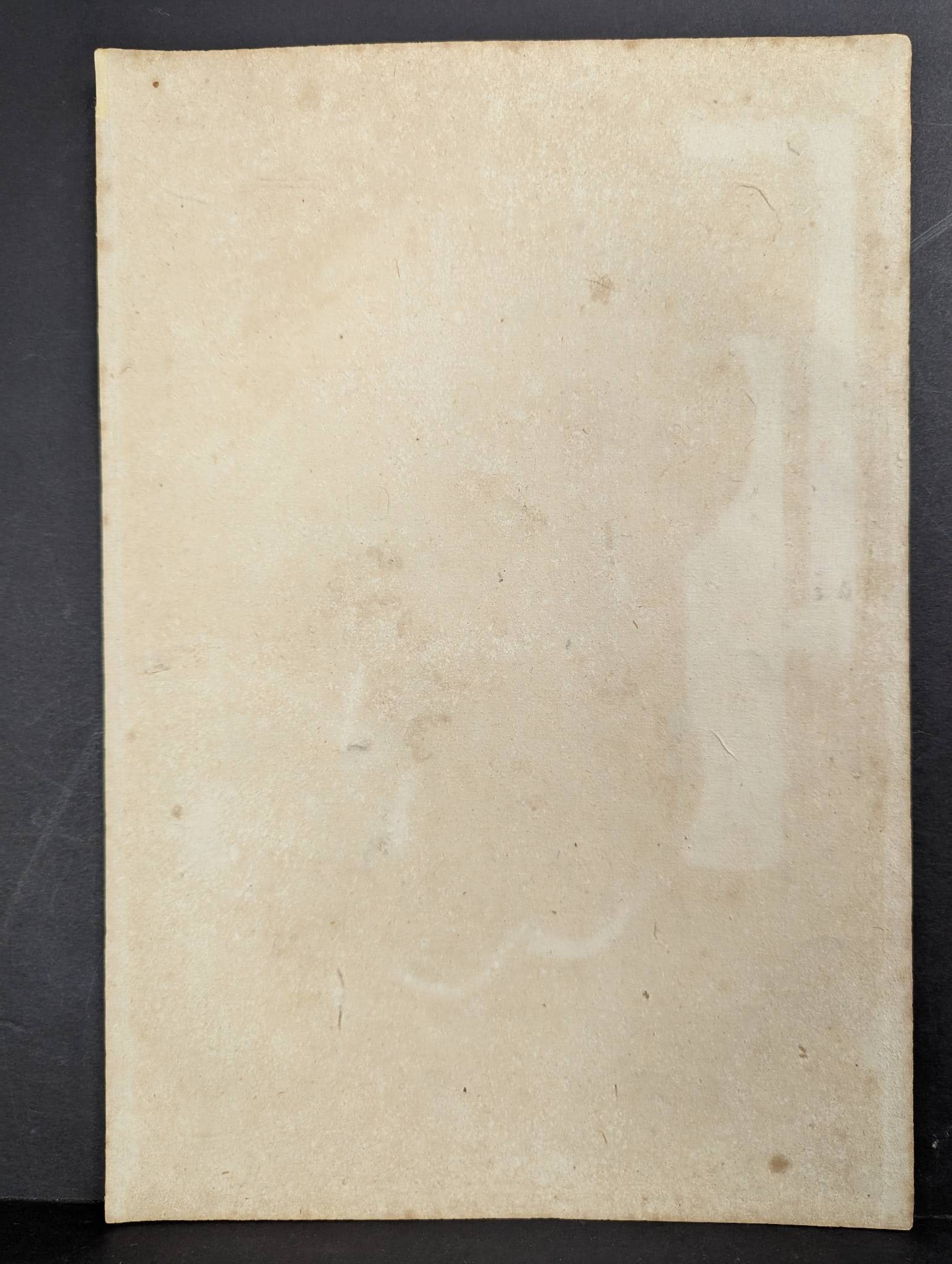 Flower-viewing Ladies of the Bunsei Era by Mizuno Toshikata Japanese Woodblock Print - 8