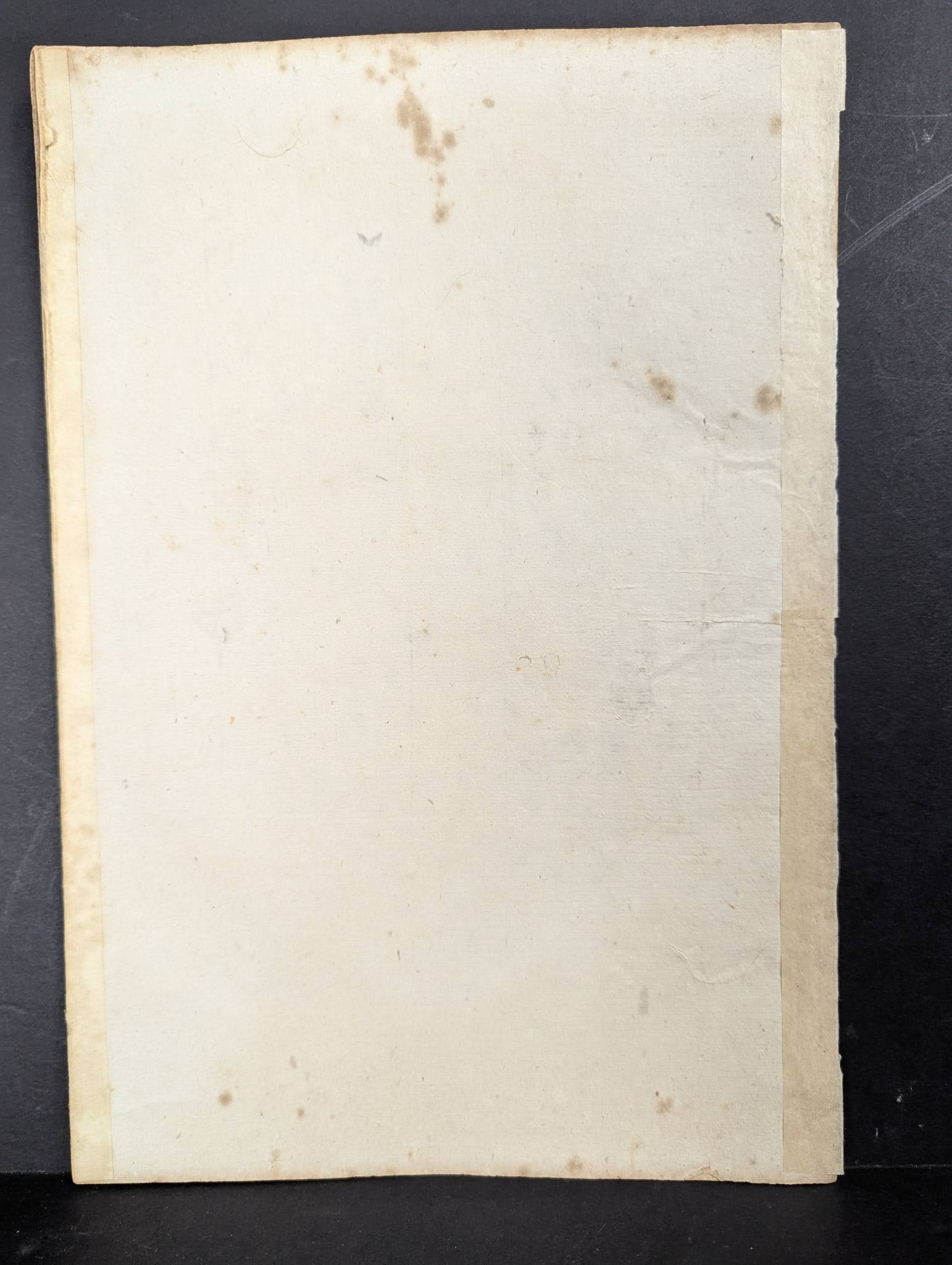 Playing the Koto Nagoya Woman of the Koka Era Japanese Woodblock Print - 8