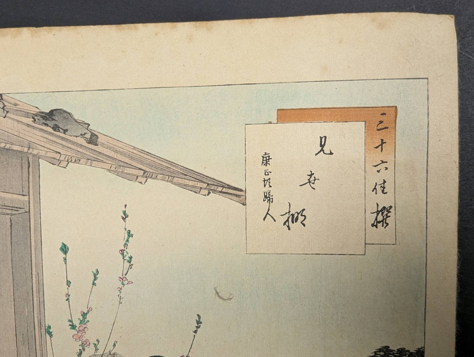 Original Toshikata Japanese Woodblock Print A Shop: Woman of the Kosho Era - 3