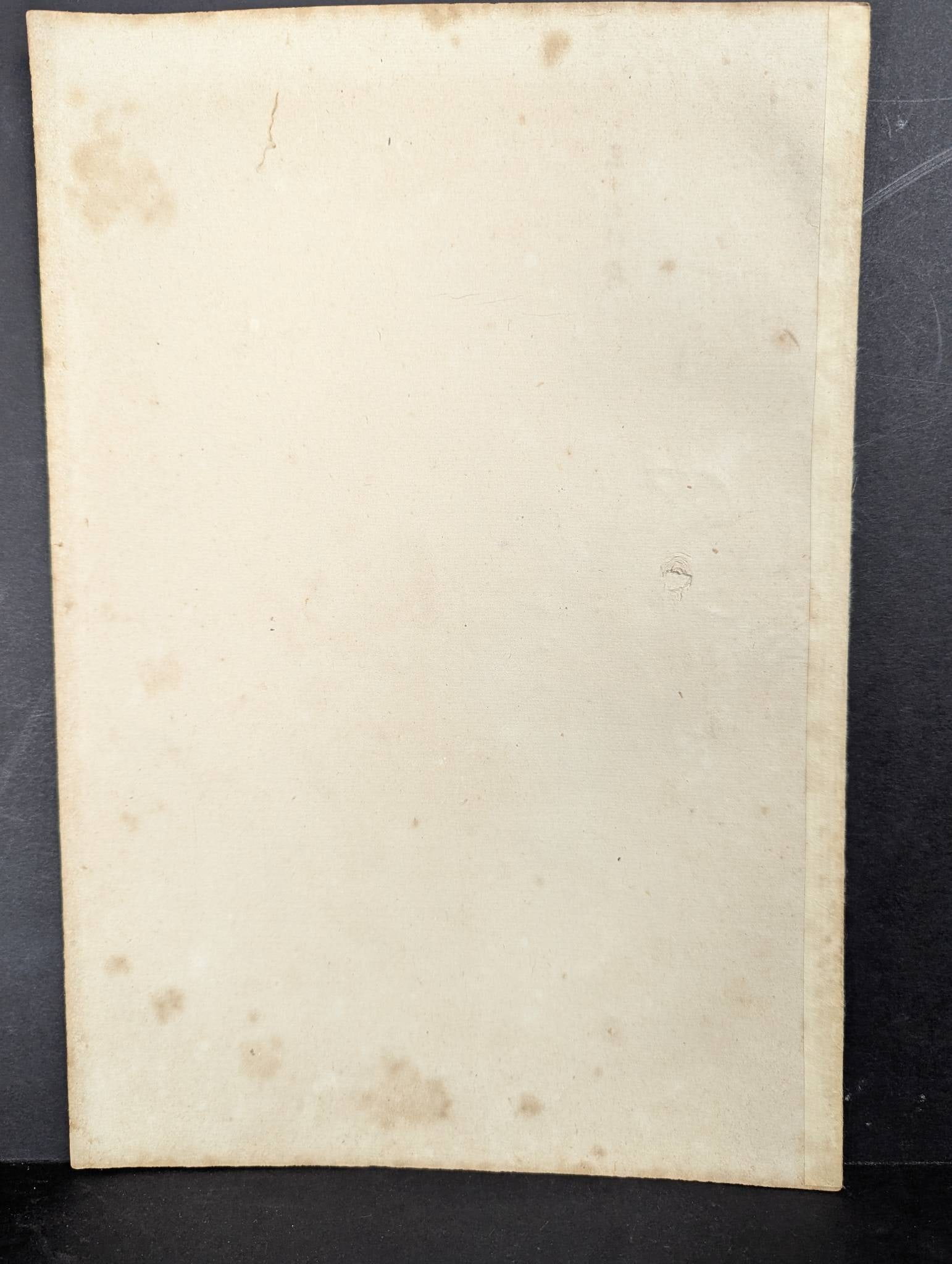 Mizuno Toshikata Japanese Woodblock Print Freshly Washed Hair - 8