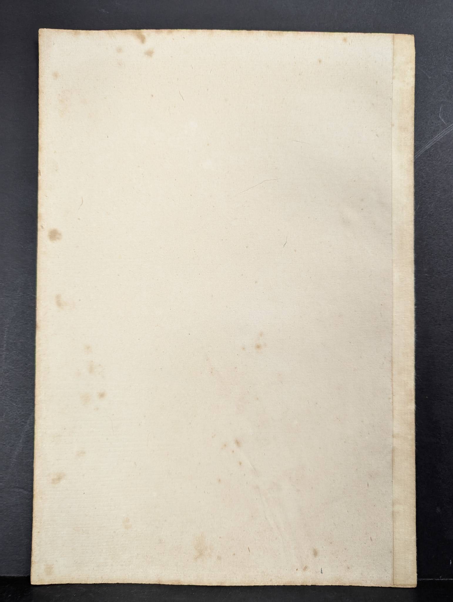 Mizuno Toshikata - Going to Theater - Japanese Woodblock Print Ca. 1893 - 8