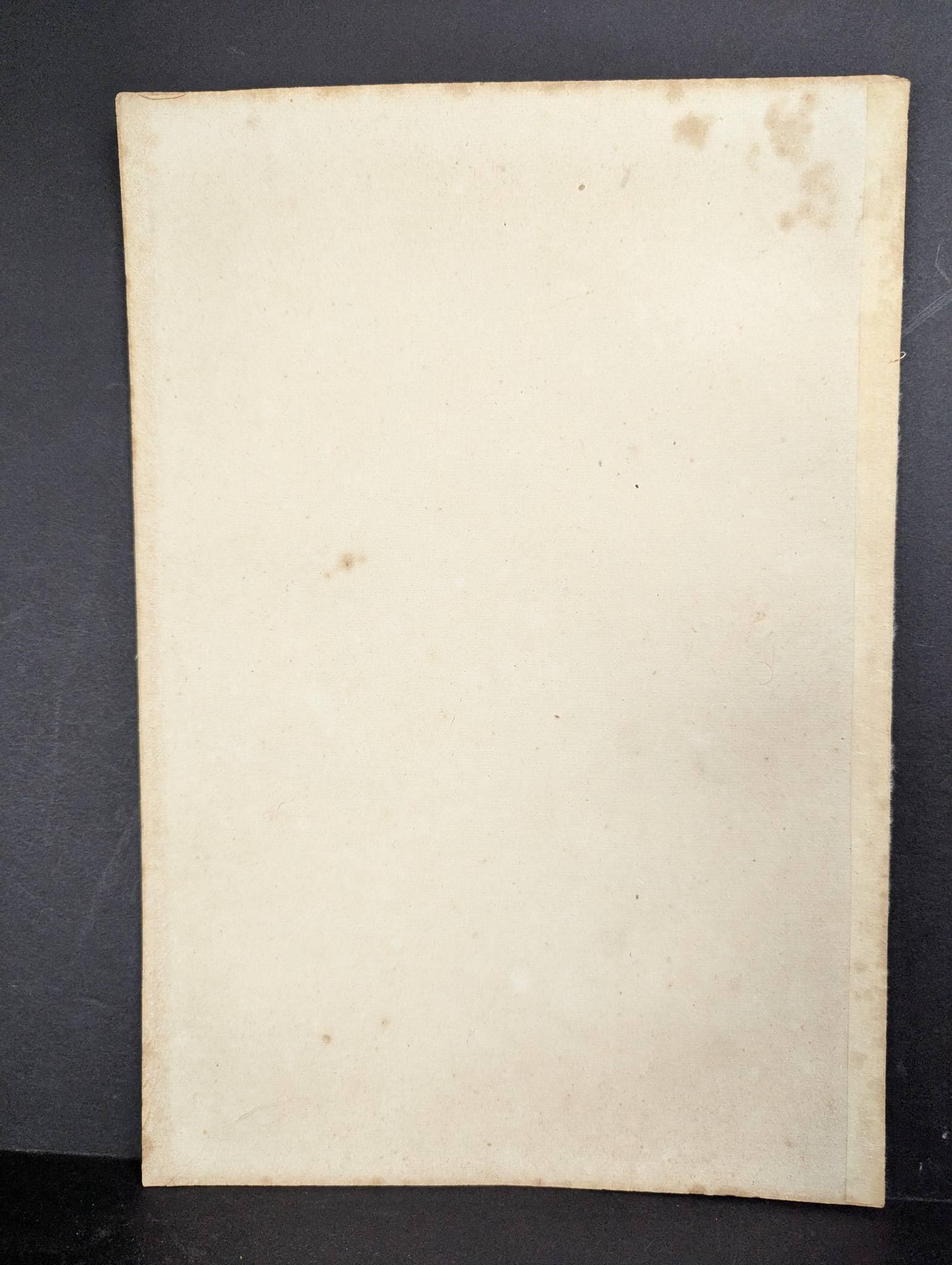 Handpuppet Made from a Bucket Woman of the Enpo Era Japanese Woodblock Print - 8