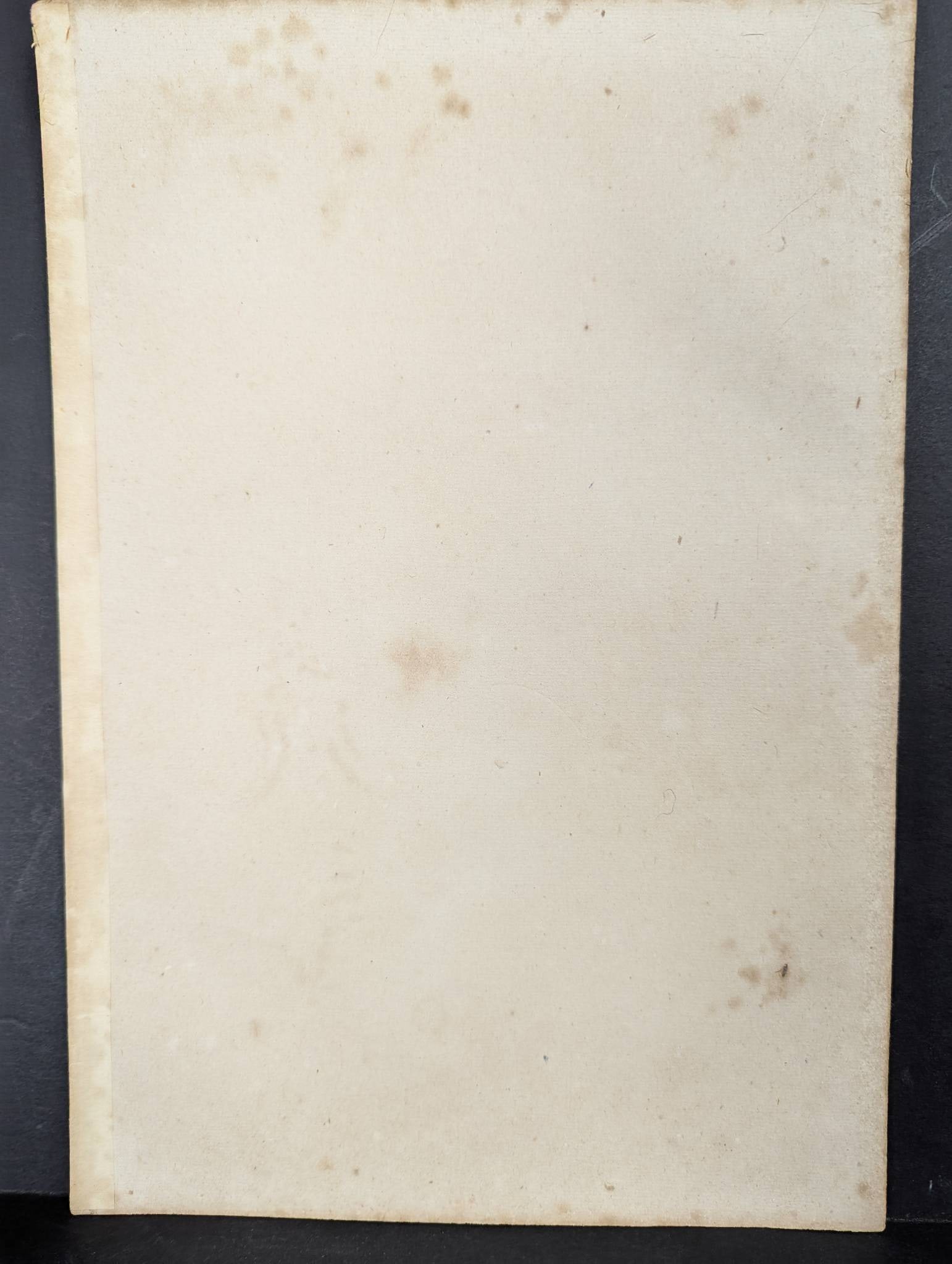 Viewing a Waterfall: Women of the Jokyo Era by Toshikata Mizuno Japanese Woodblock Print - 8