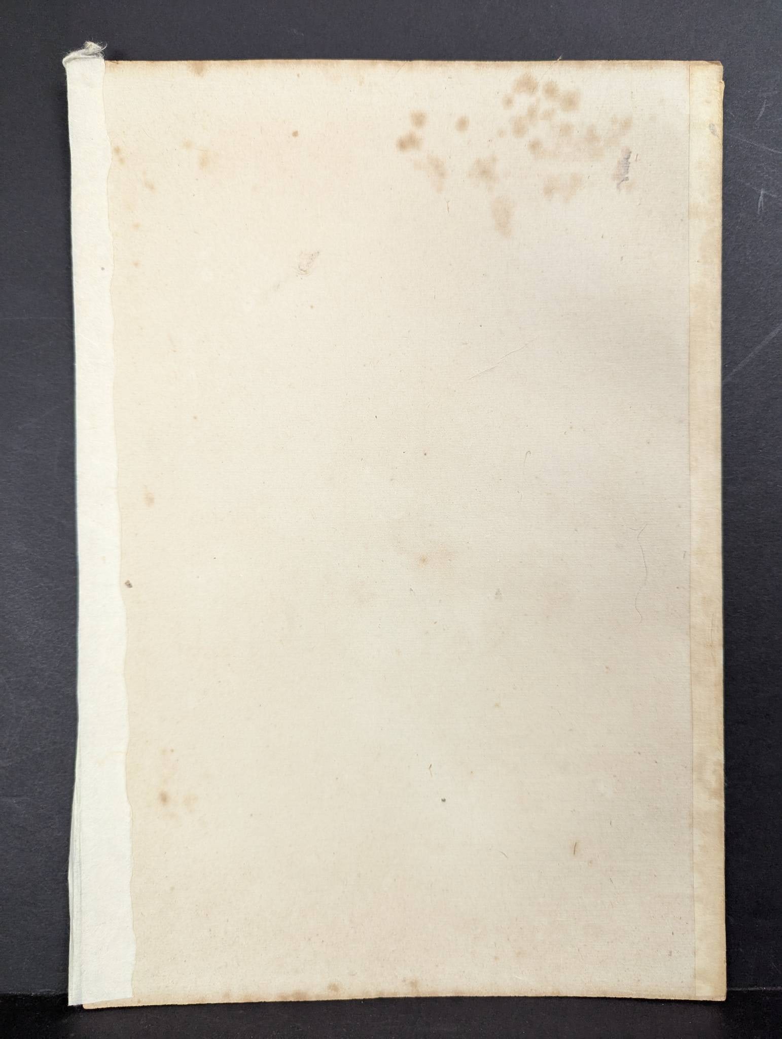 Japanese Woodblock Print New Year Charm by Mizuno Toshikata - 8