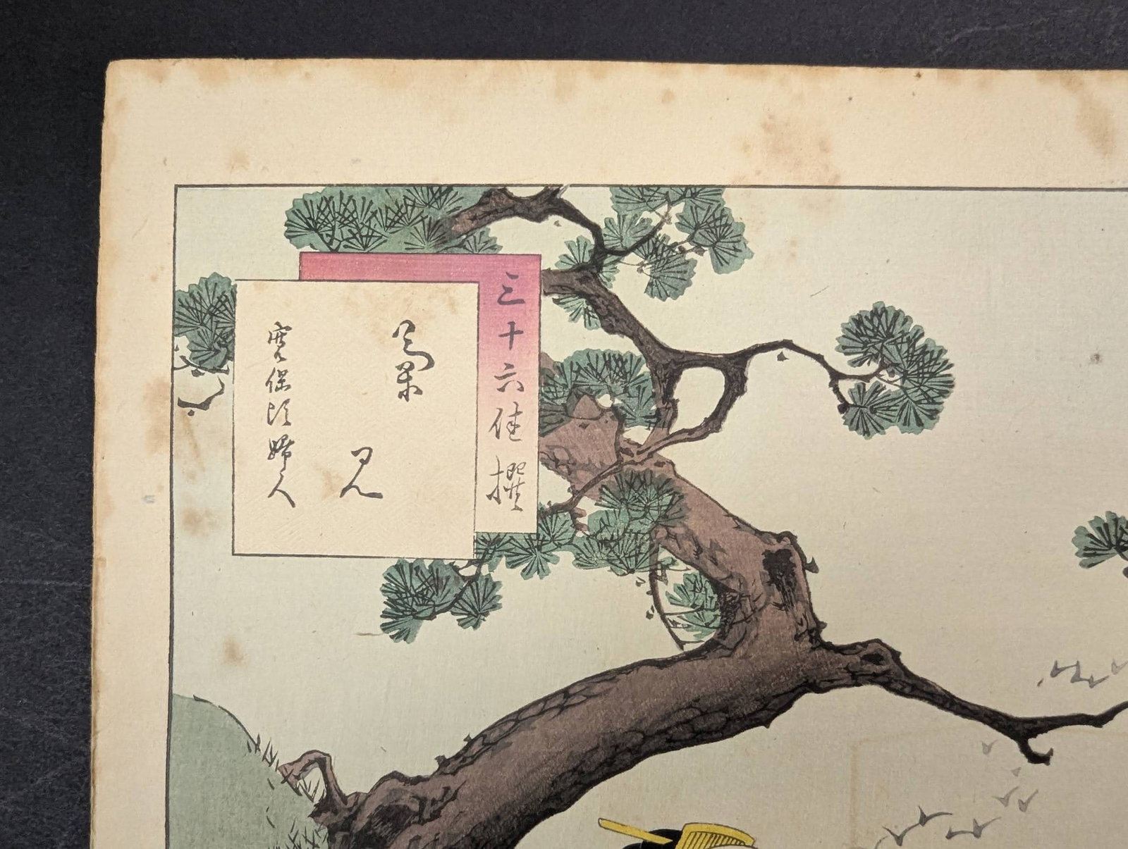 Japanese Woodblock Print Chrysanthemum Viewing Women of the Kanpo Era by Mizuno Toshikata - 2