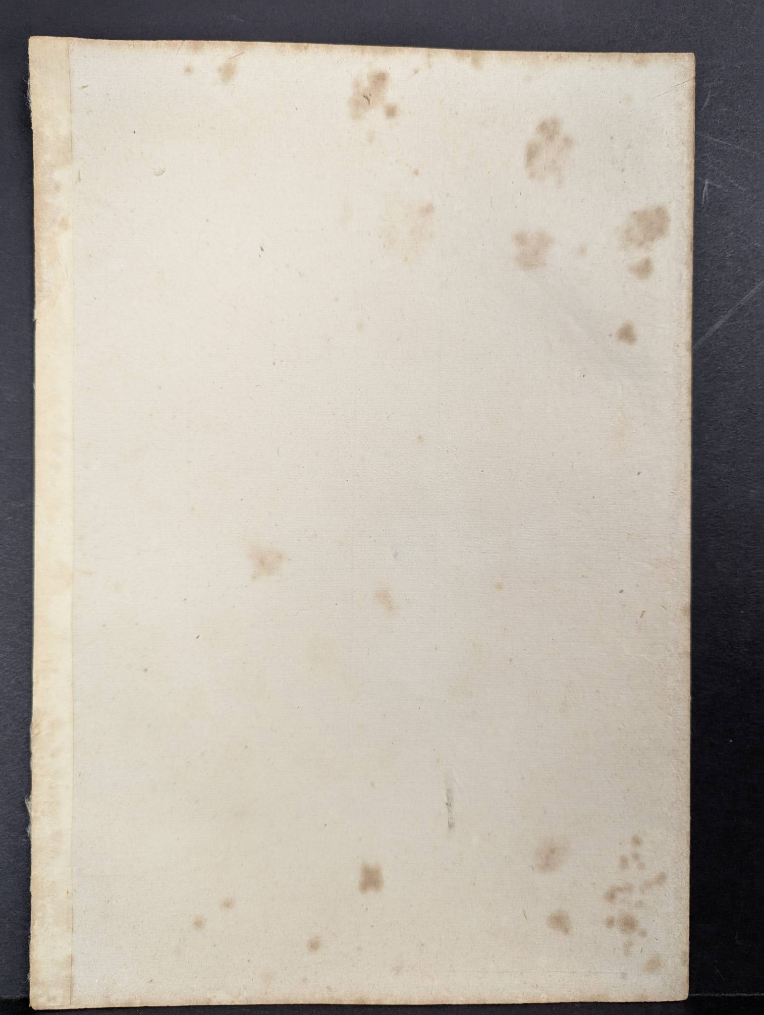 Japanese Woodblock Print Chrysanthemum Viewing Women of the Kanpo Era by Mizuno Toshikata - 8