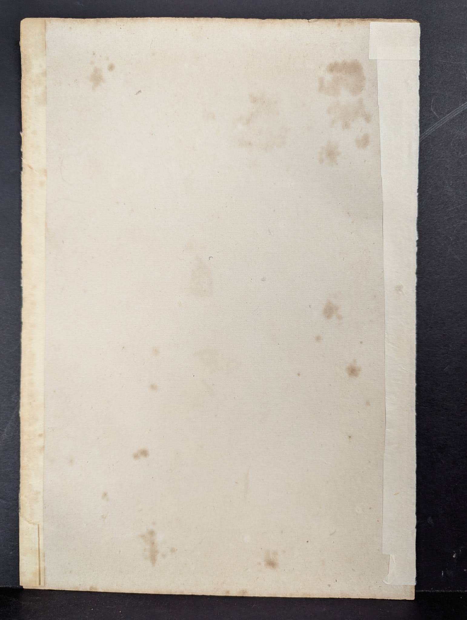 Japanese Woodblock Print High-class Courtesan and Her Maid by Mizuno Toshikata - 8