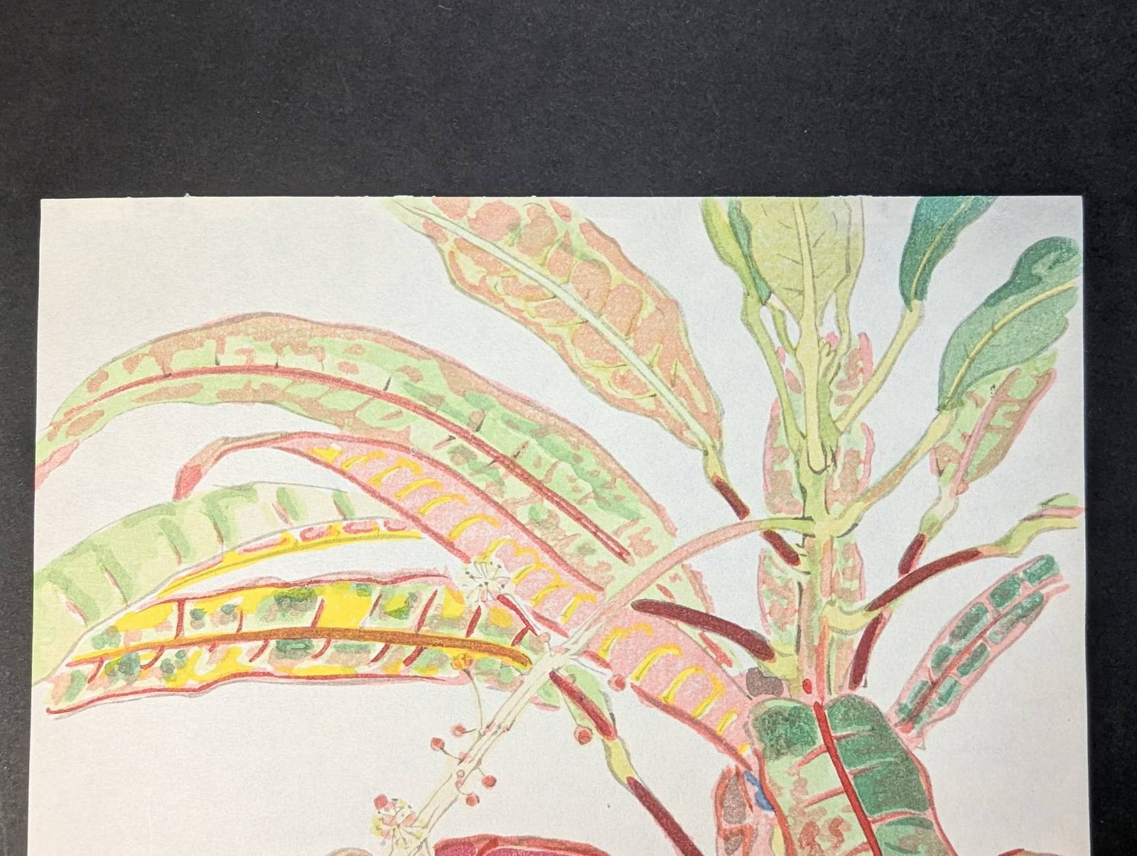 Japanese Woodblock Print by Tsuji Ei Titled 1969 Kuroton - 2