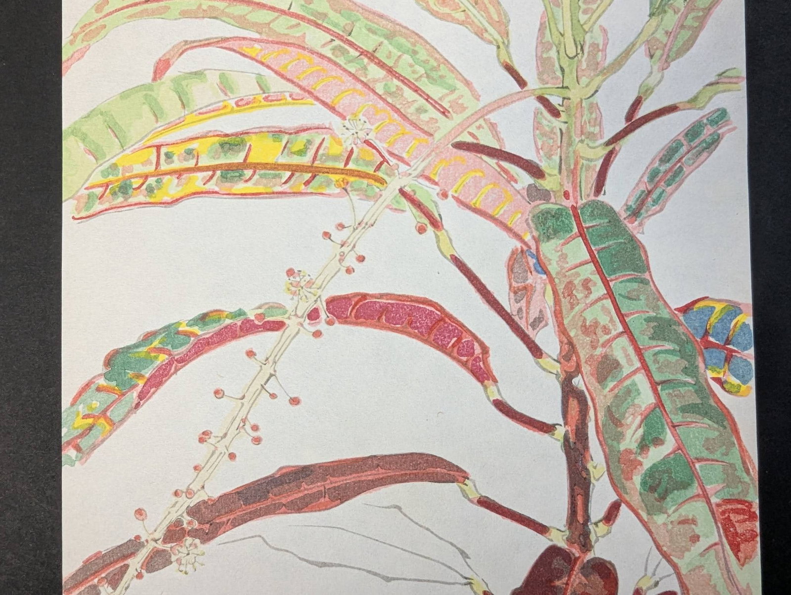 Japanese Woodblock Print by Tsuji Ei Titled 1969 Kuroton - 3